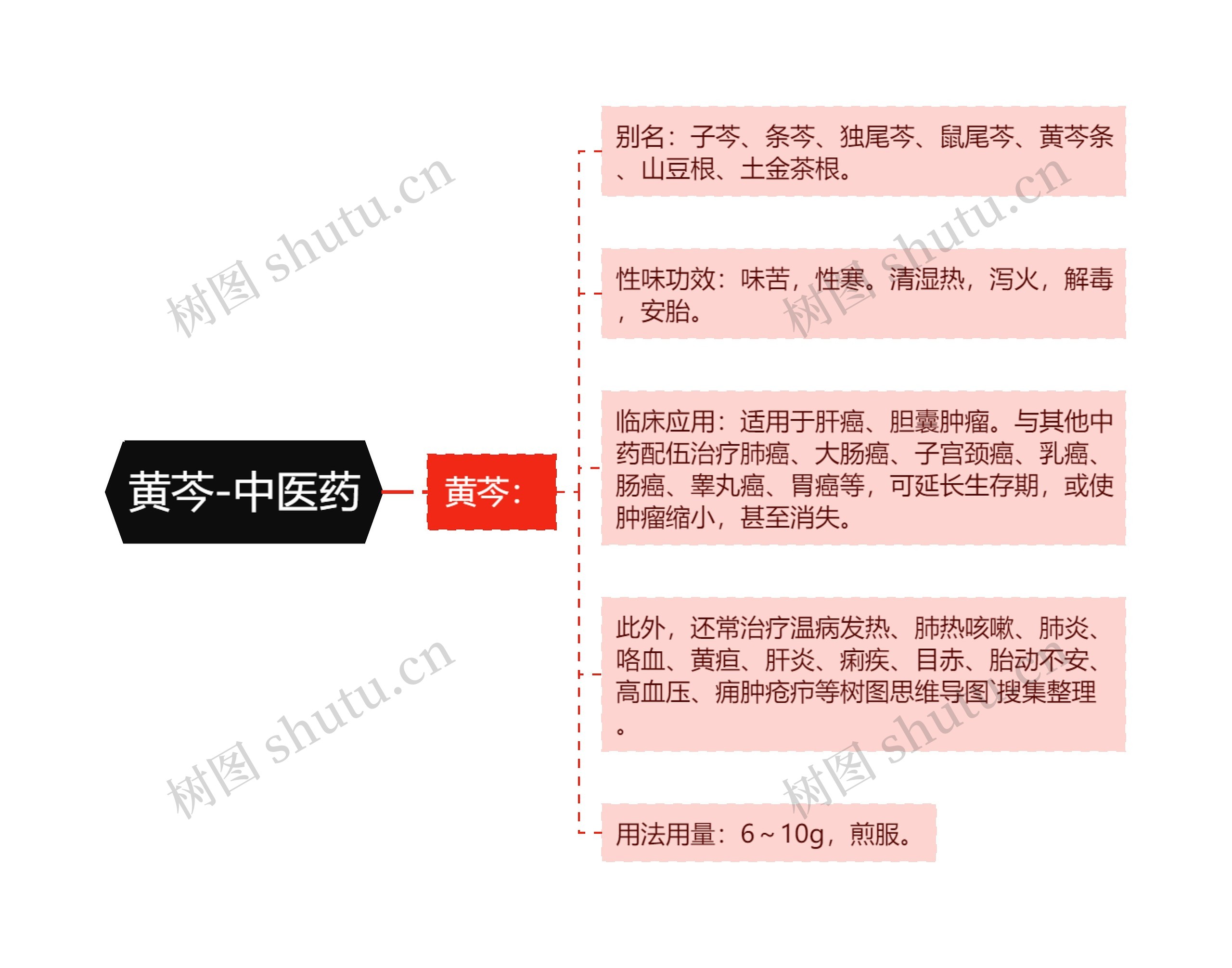 黄芩-中医药 黄芩-中医药