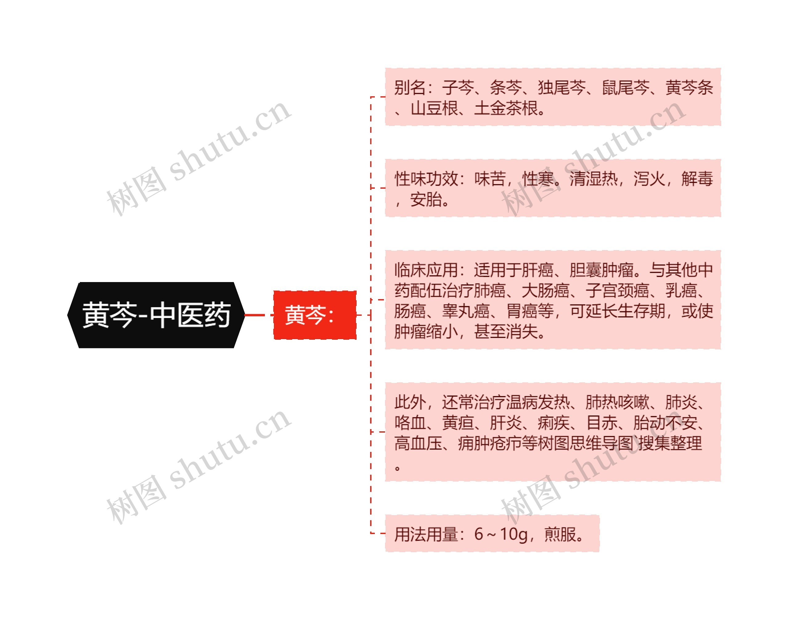 黄芩-中医药思维导图