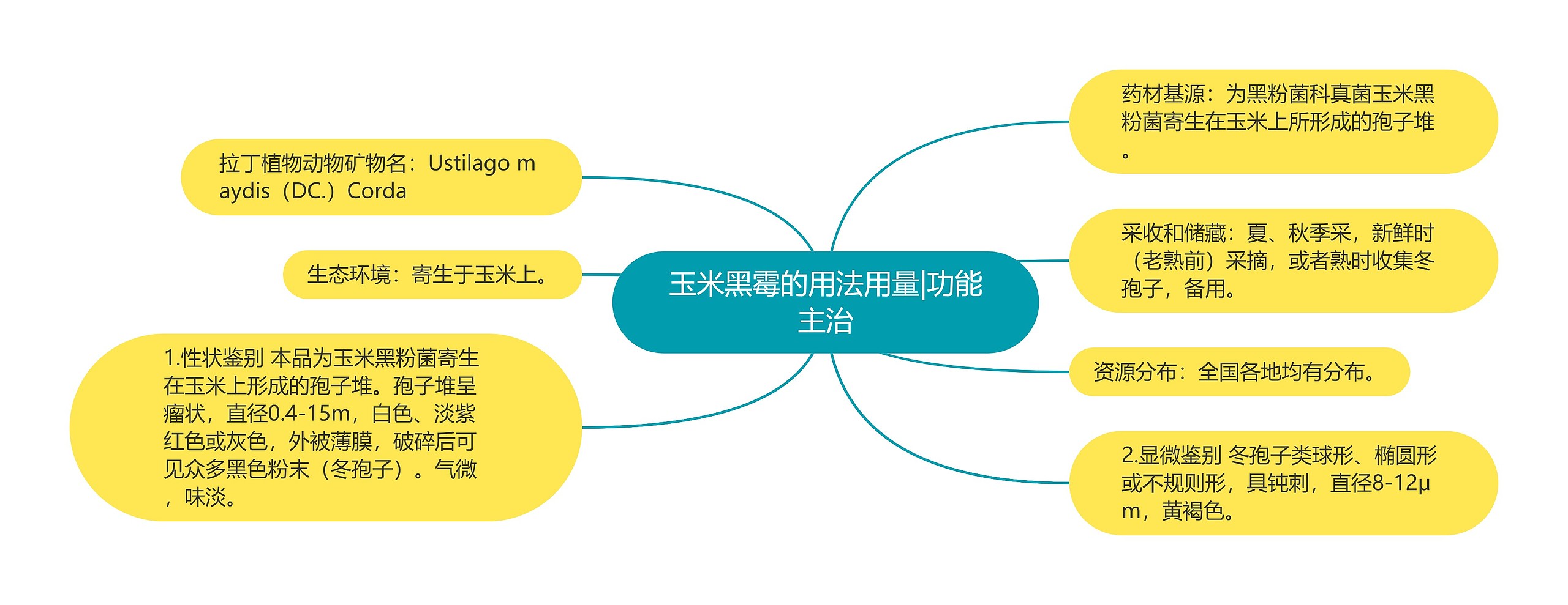 玉米黑霉的用法用量|功能主治