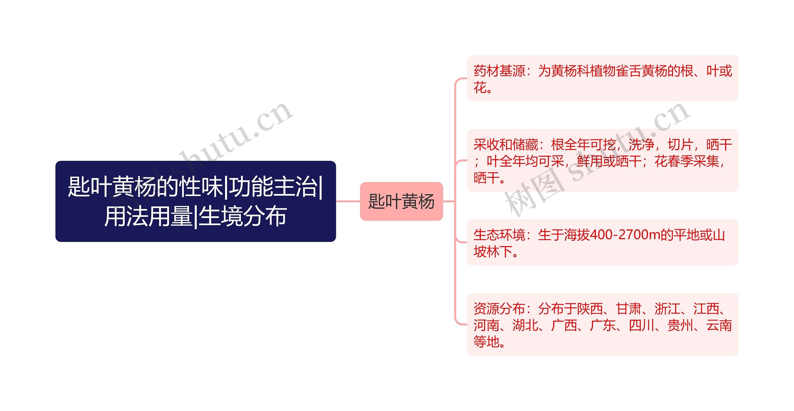 匙叶黄杨的性味|功能主治|用法用量|生境分布思维导图