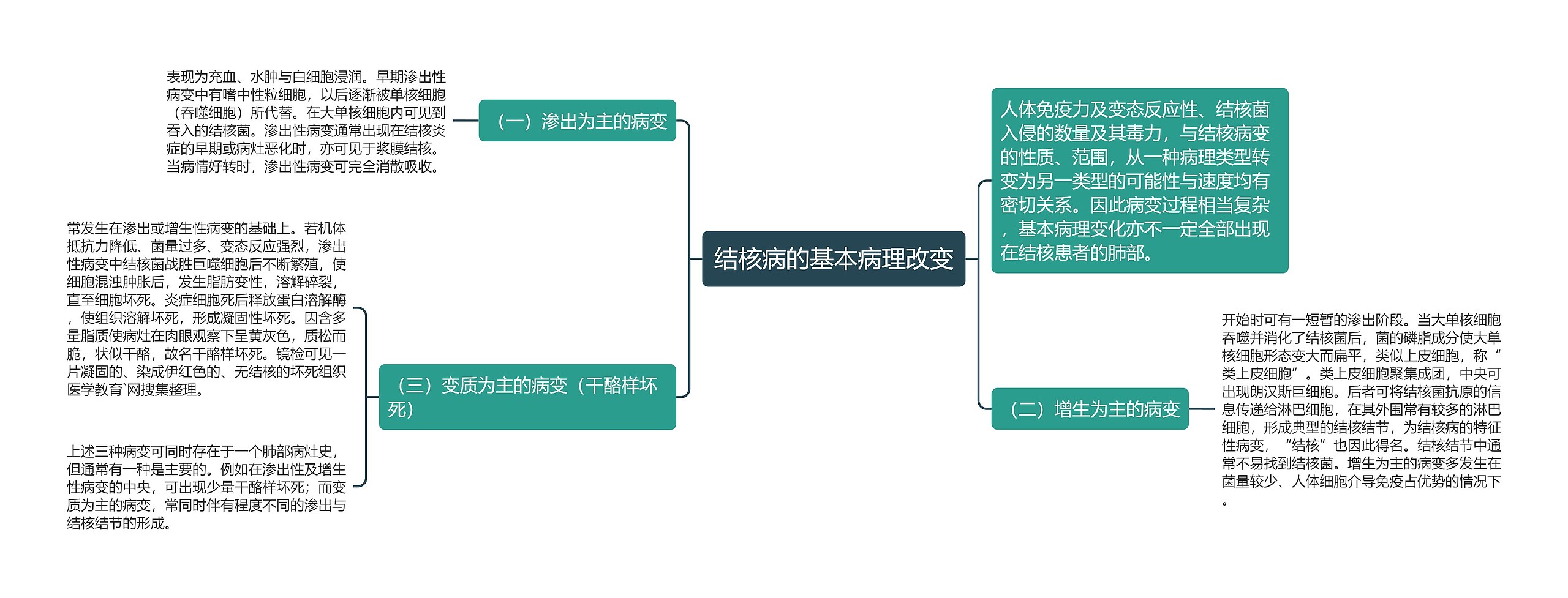 结核病的基本病理改变思维导图