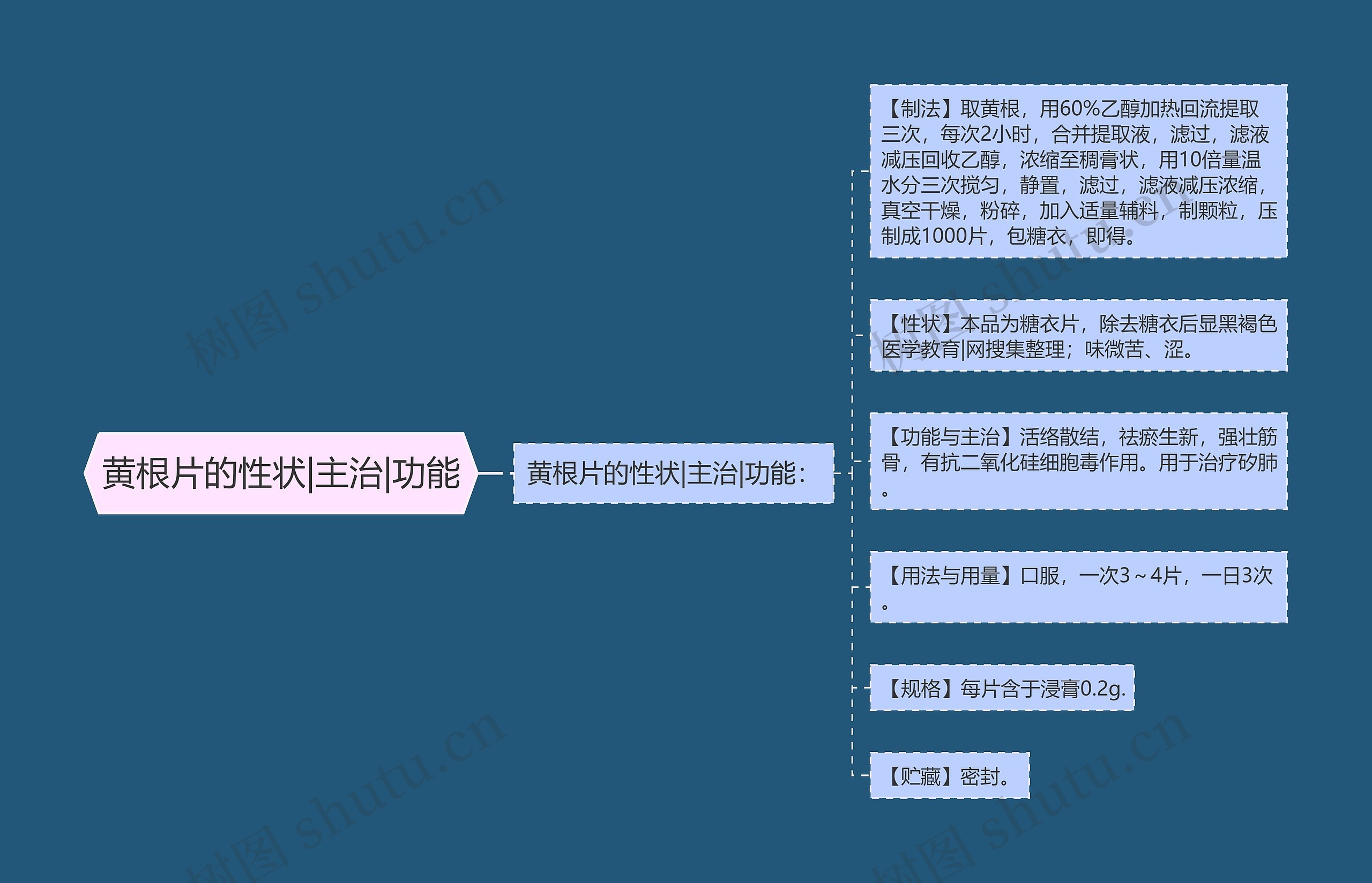 黄根片的性状|主治|功能思维导图