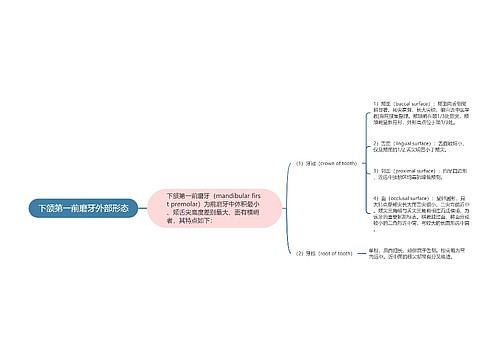 下颌第一前磨牙外部形态