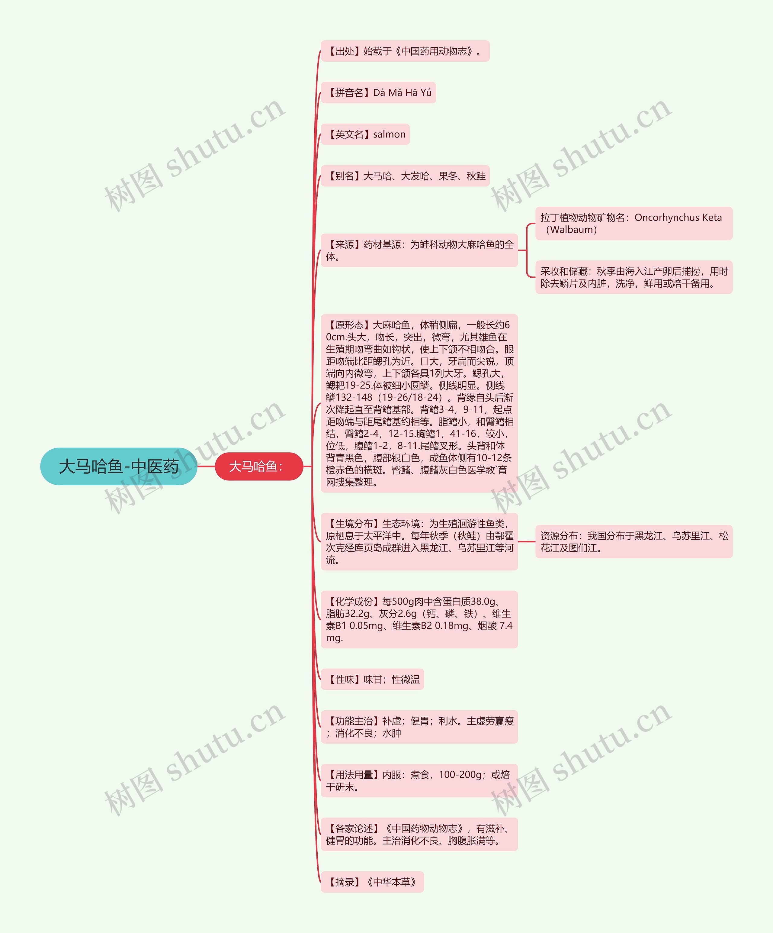 大马哈鱼-中医药思维导图