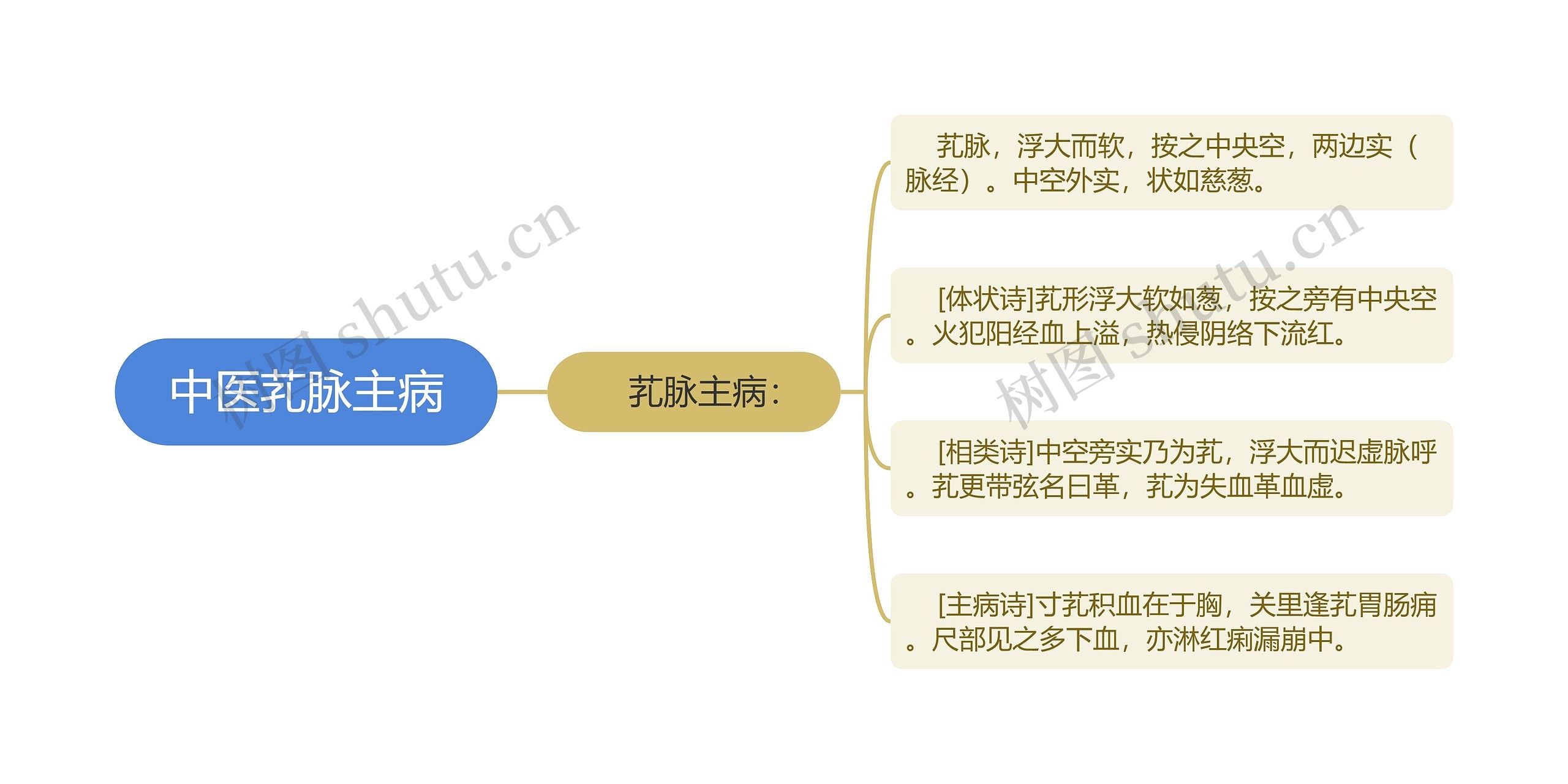 中医芤脉主病