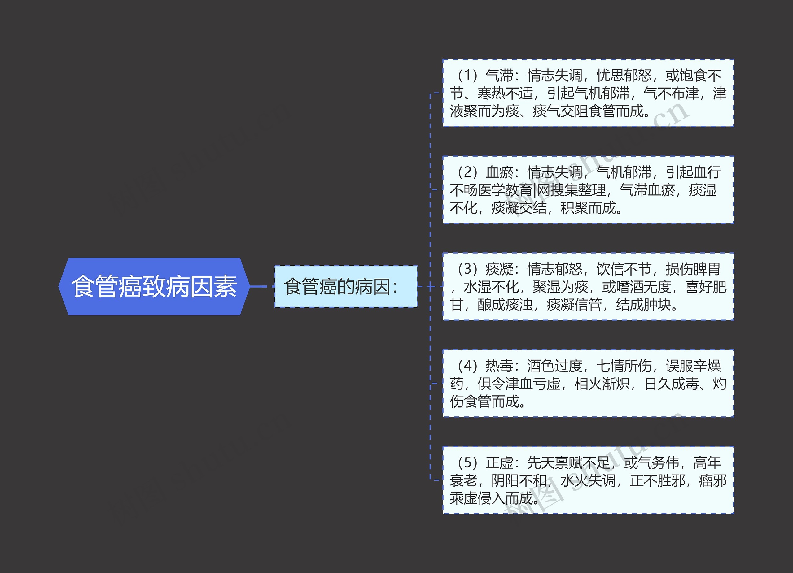 食管癌致病因素