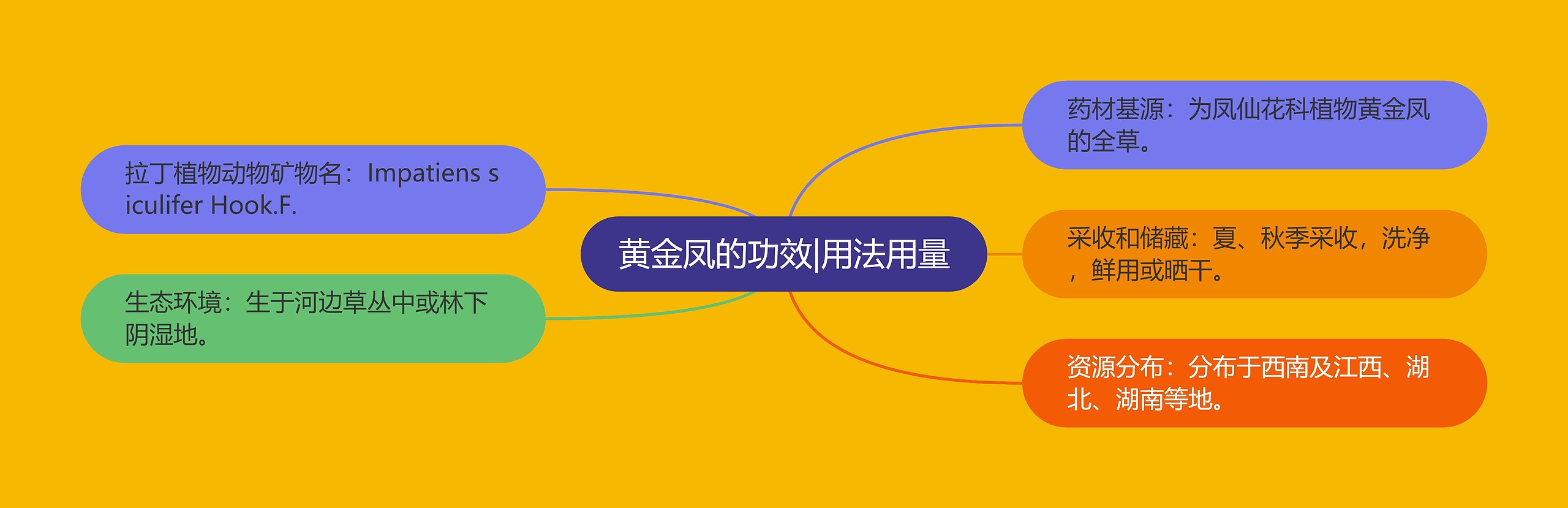 黄金凤的功效|用法用量 黄金凤的功效|用法用量