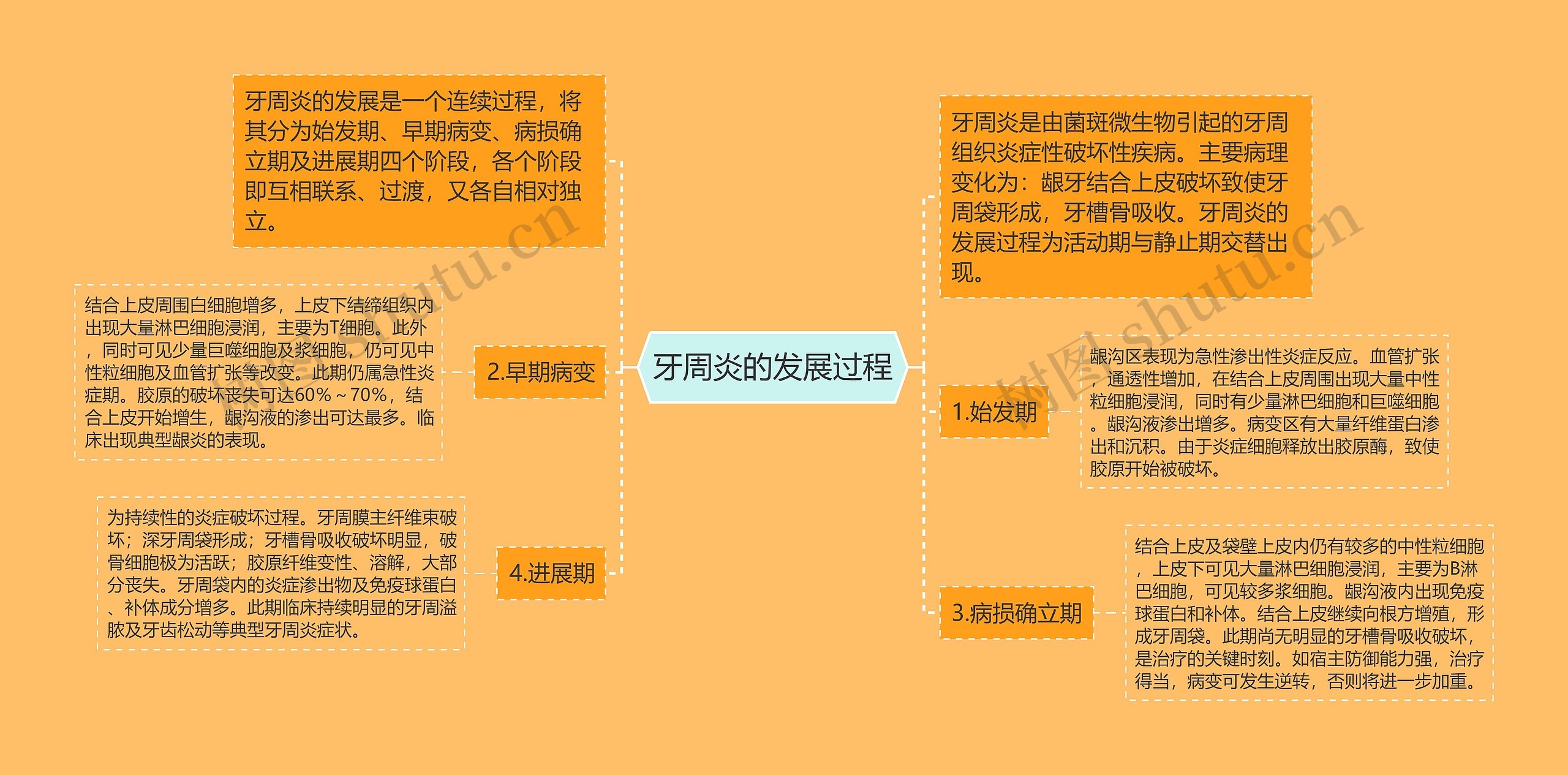 牙周炎的发展过程 牙周炎的发展过程