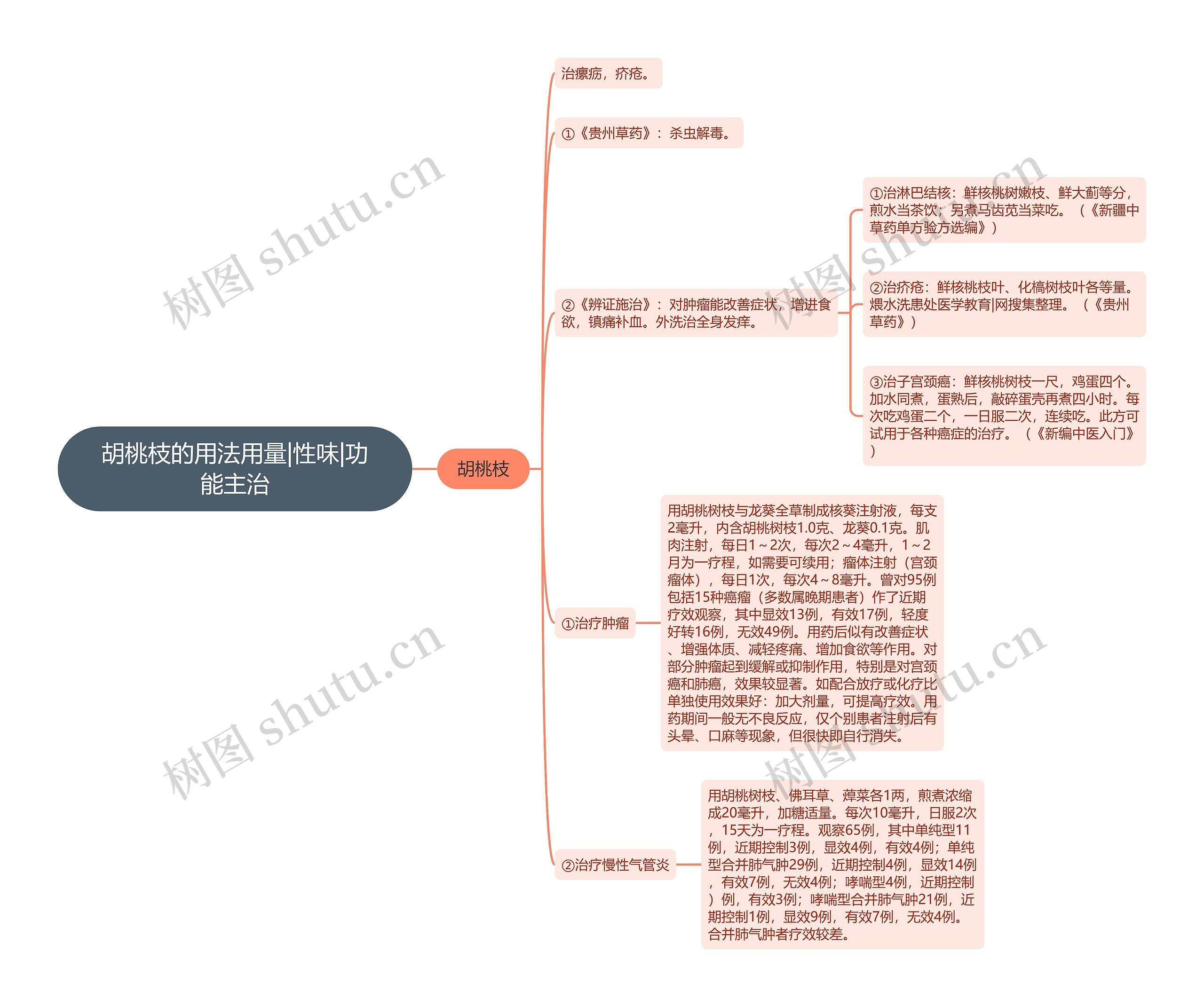 胡桃枝的用法用量|性味|功能主治思维导图