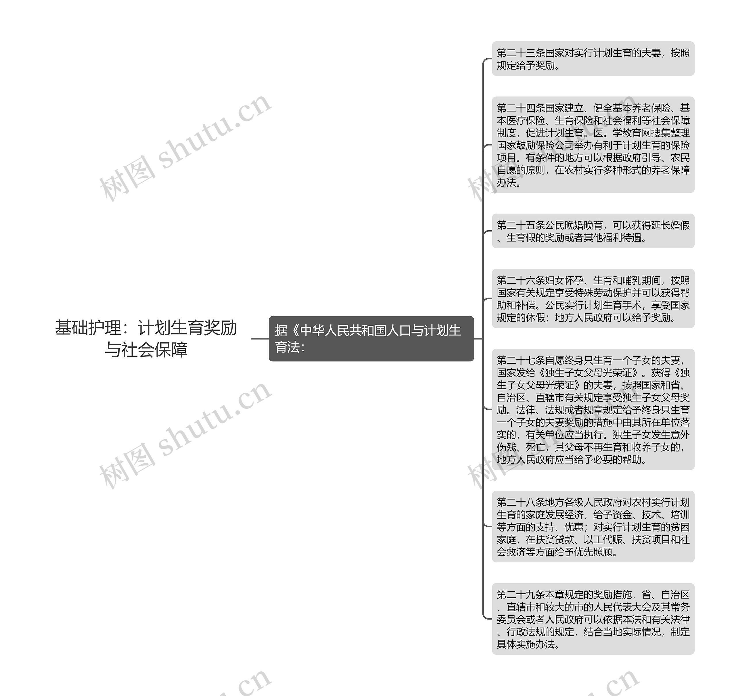 基础护理：计划生育奖励与社会保障