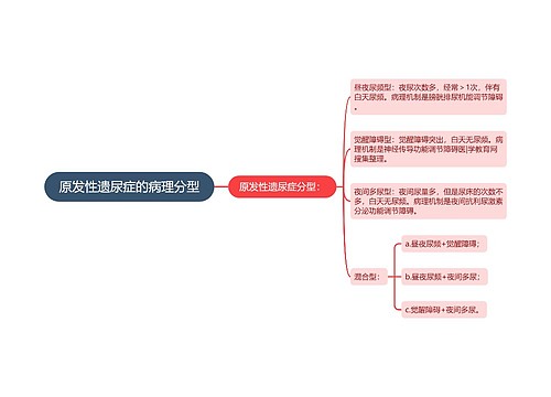 原发性遗尿症的病理分型