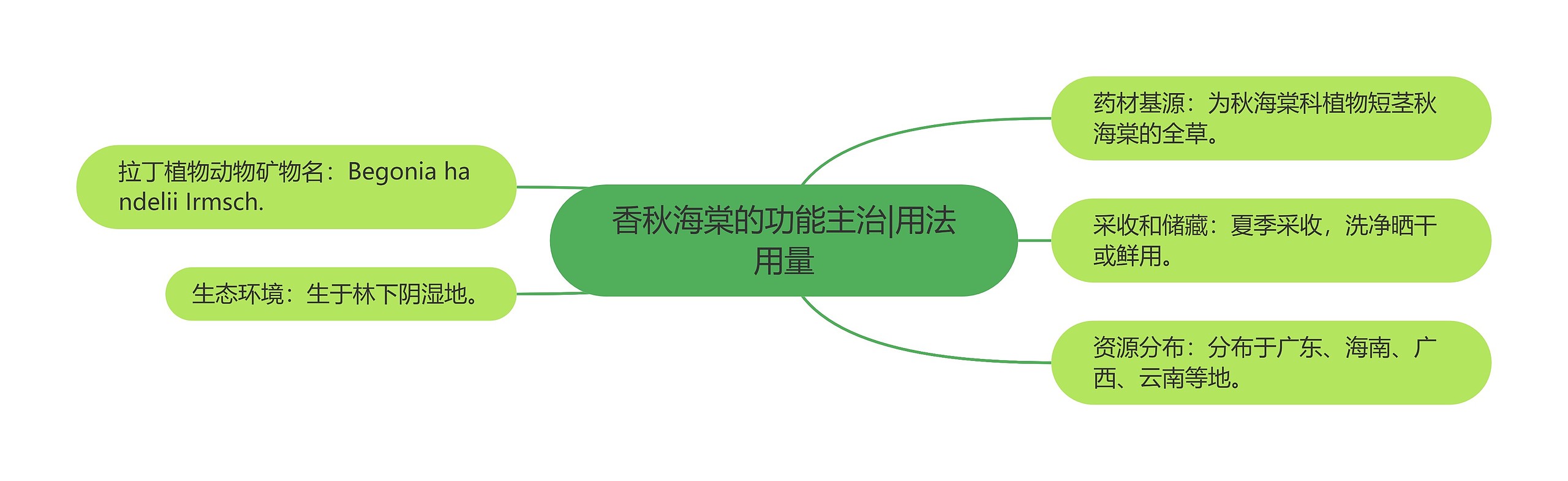 香秋海棠的功能主治|用法用量思维导图