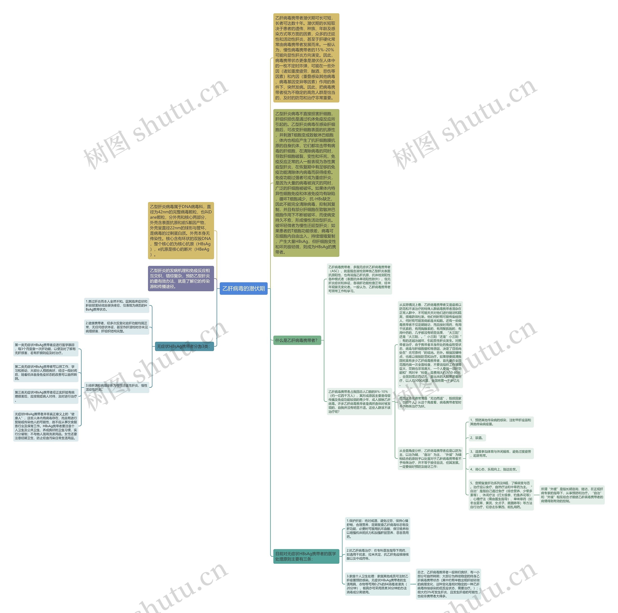 乙肝病毒的潜伏期思维导图