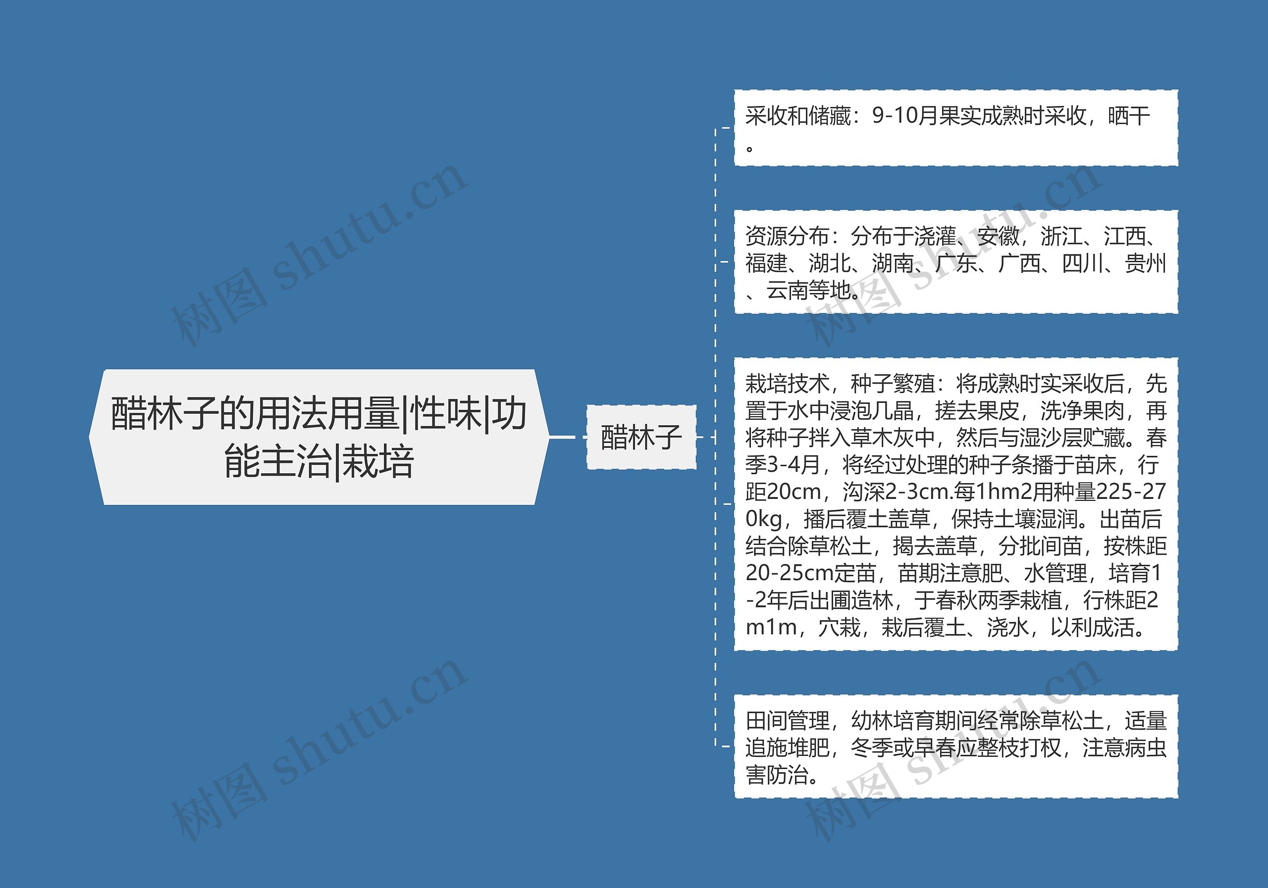 醋林子的用法用量|性味|功能主治|栽培 醋林子的用法用量|性味|功能主治|栽培