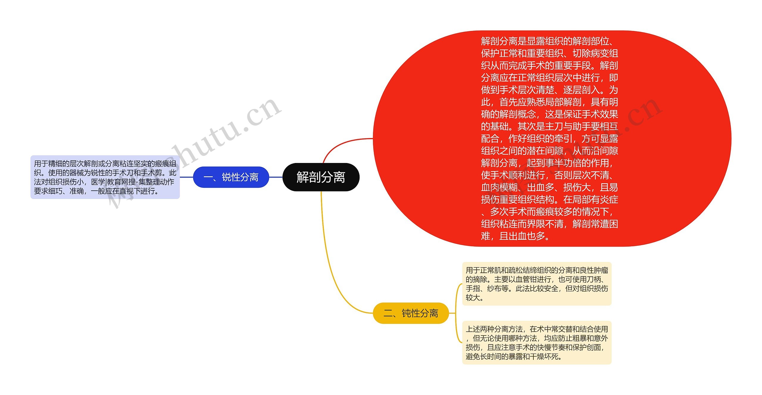 解剖分离思维导图