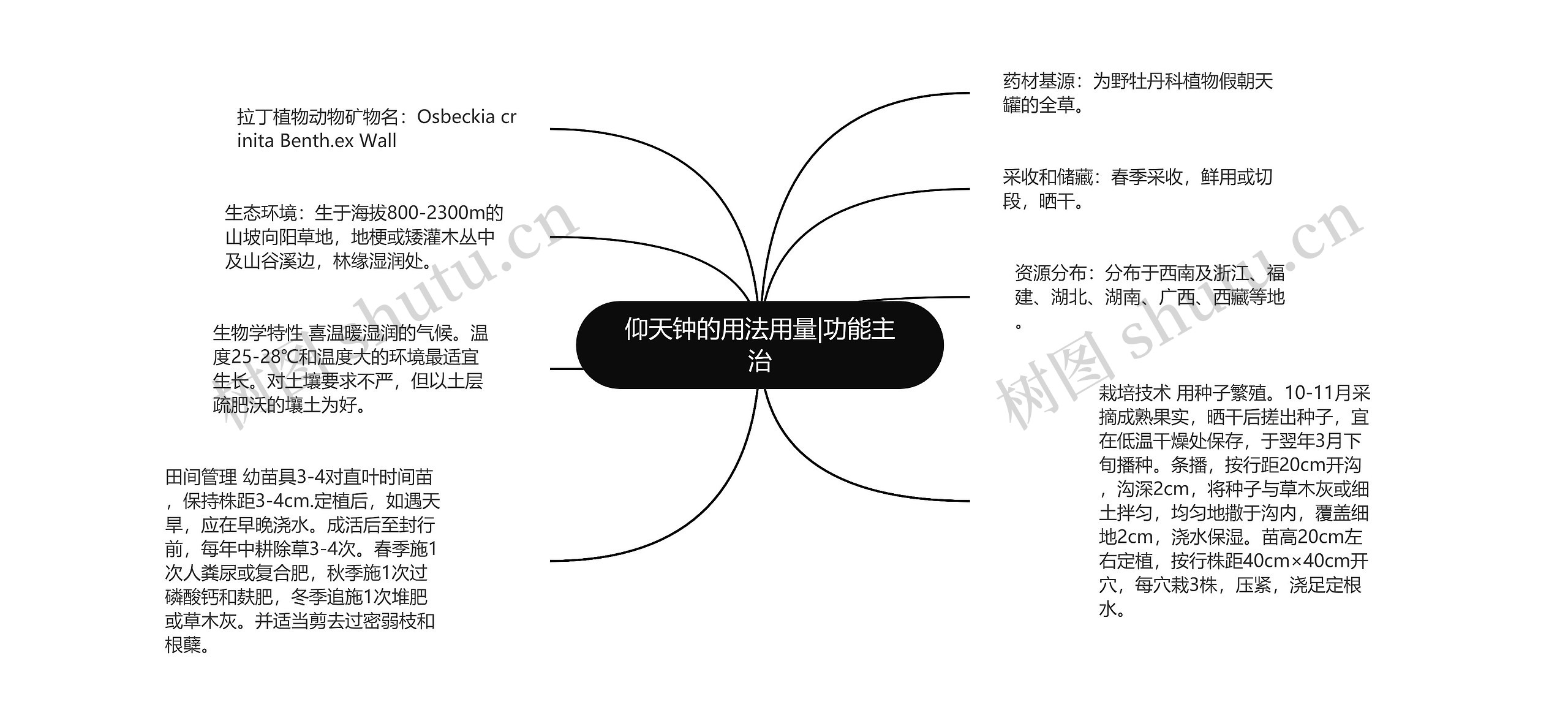 仰天钟的用法用量|功能主治思维导图