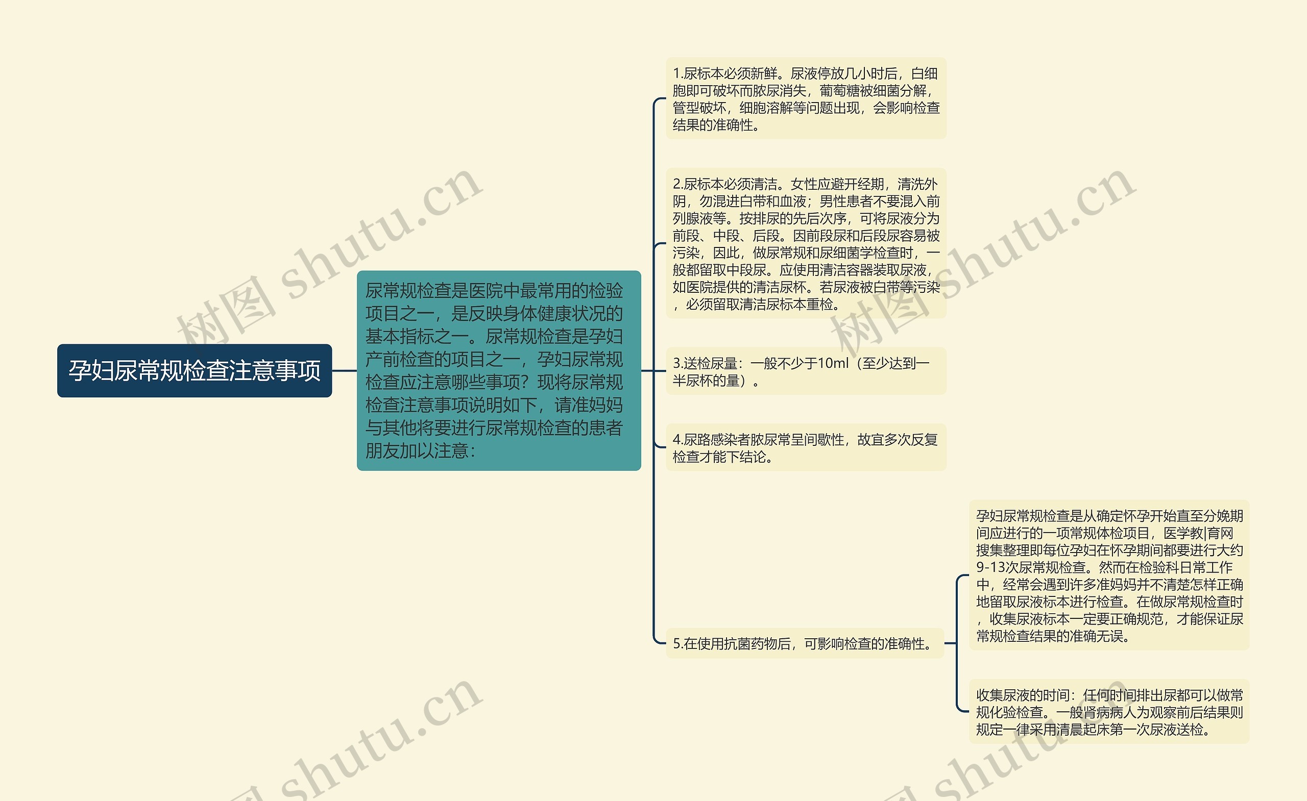 孕妇尿常规检查注意事项思维导图