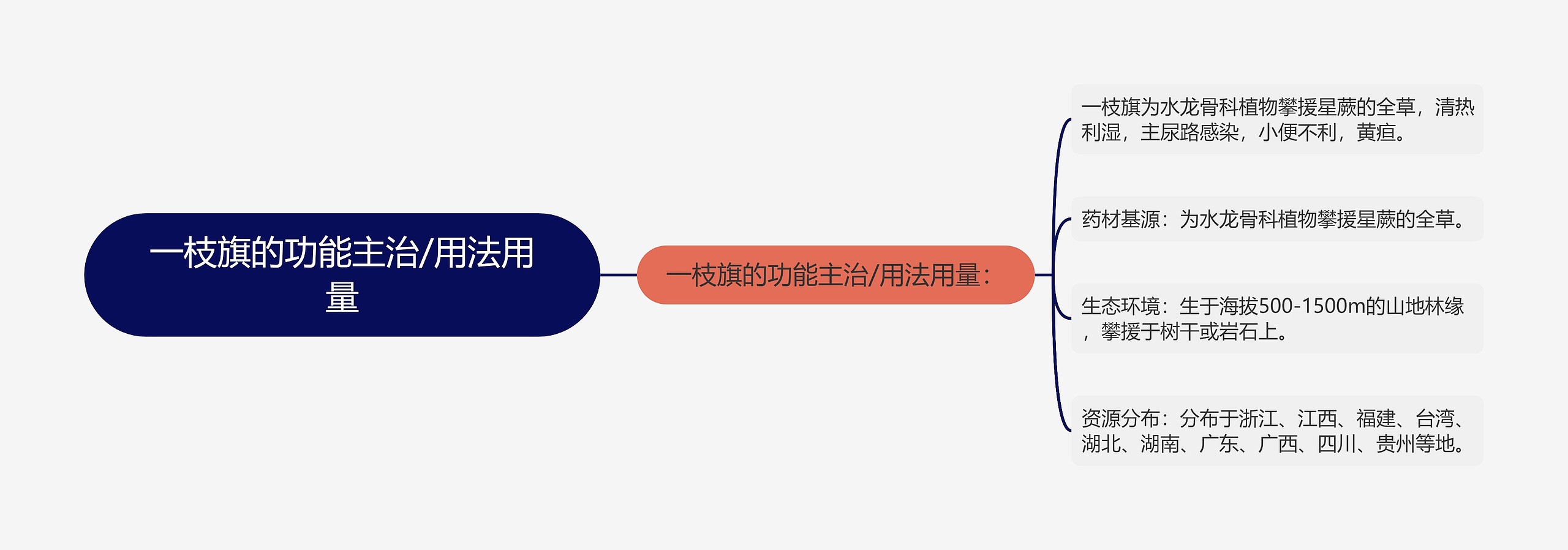 一枝旗的功能主治/用法用量思维导图