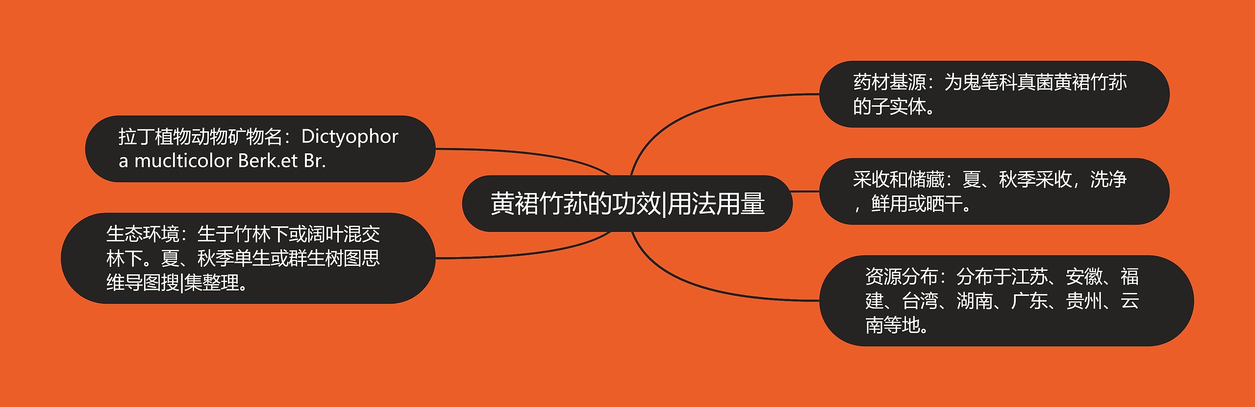 黄裙竹荪的功效|用法用量 黄裙竹荪的功效|用法用量