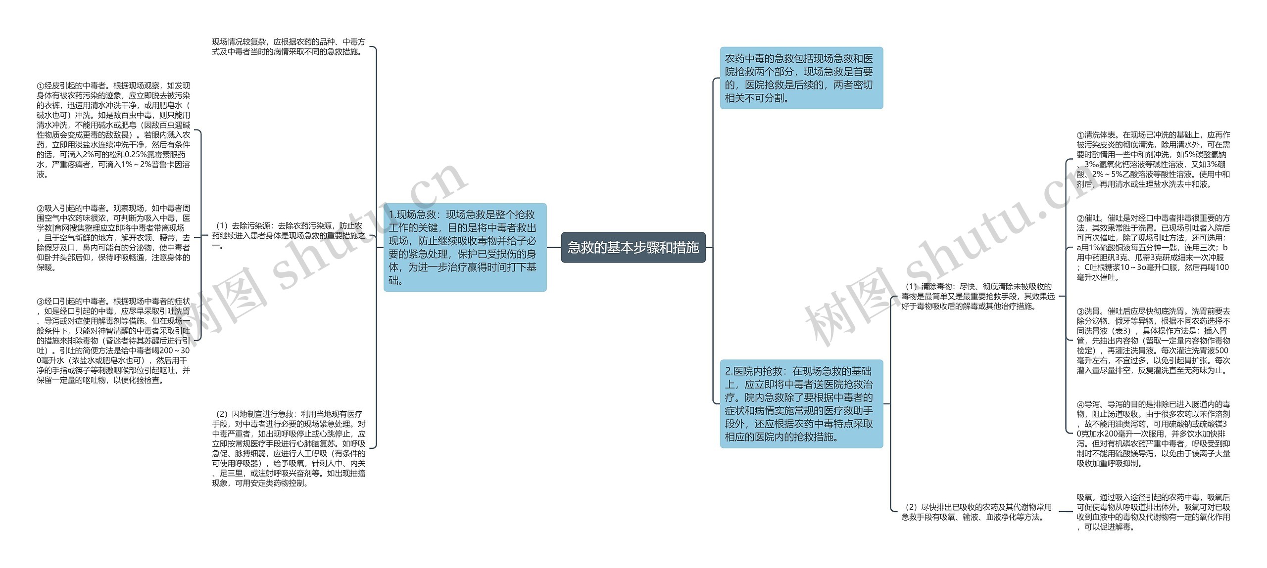 急救的基本步骤和措施思维导图