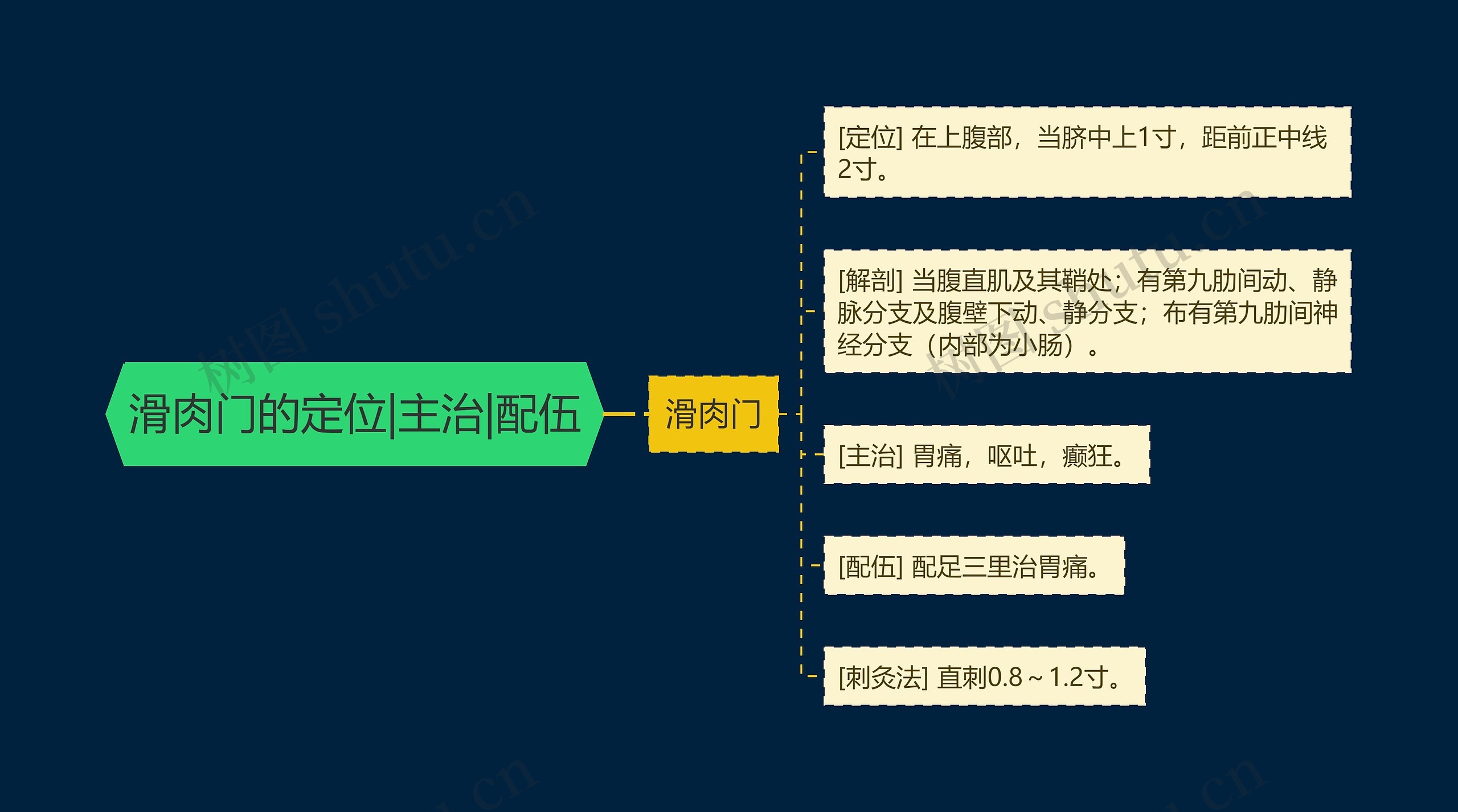 滑肉门的定位|主治|配伍思维导图