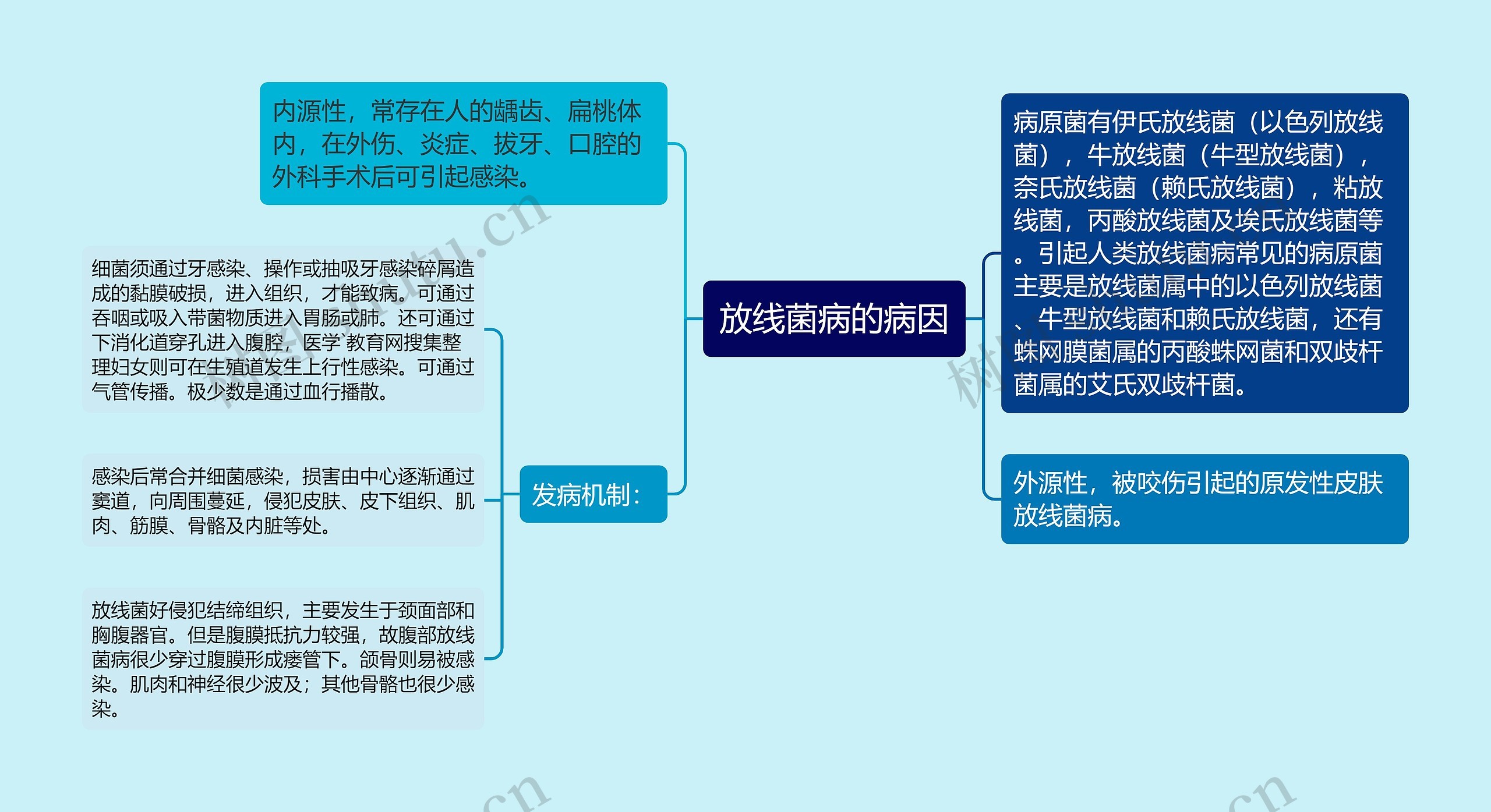 放线菌病的病因思维导图