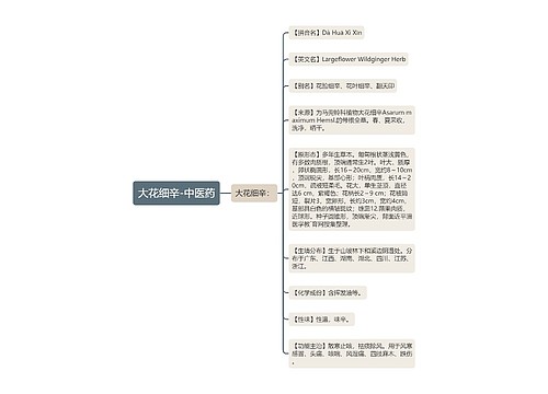 大花细辛-中医药