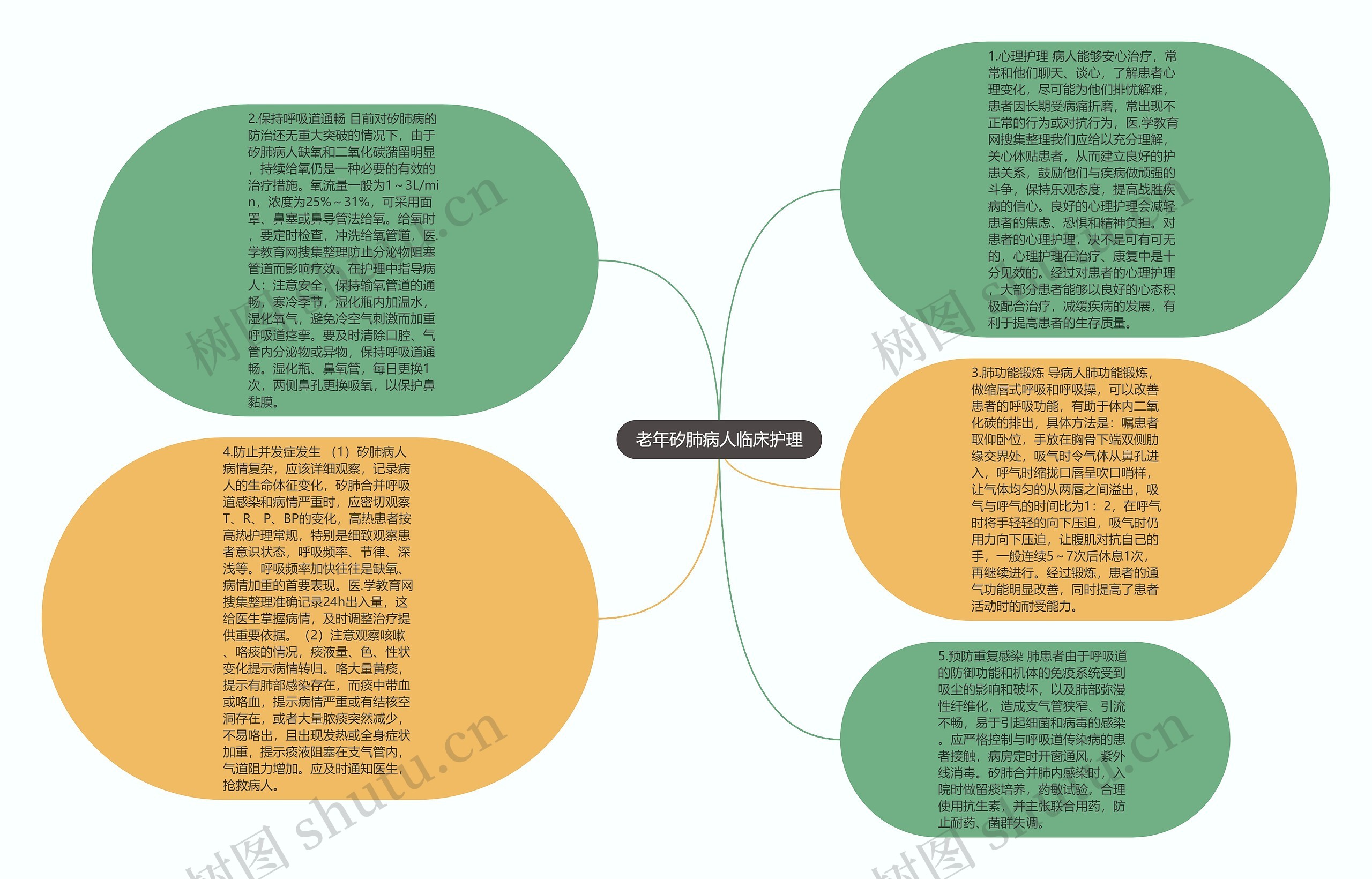 老年矽肺病人临床护理思维导图