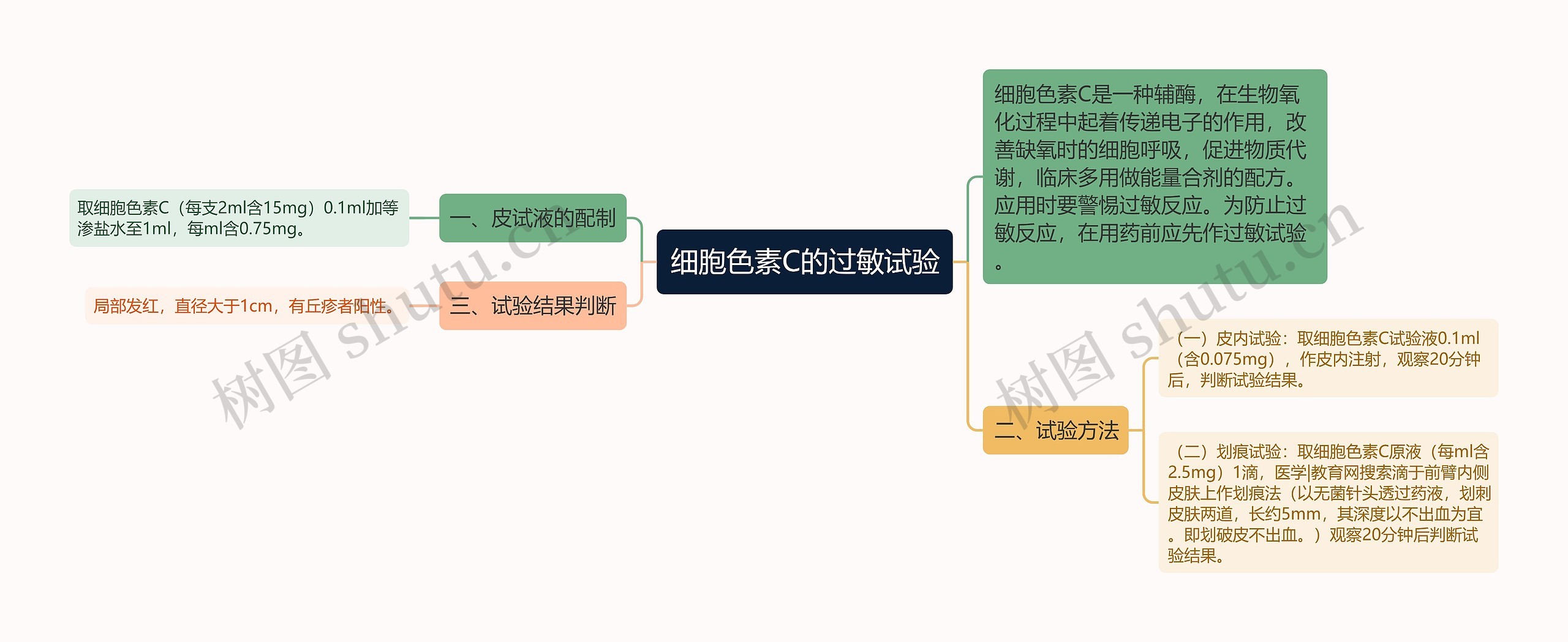 细胞色素C的过敏试验思维导图