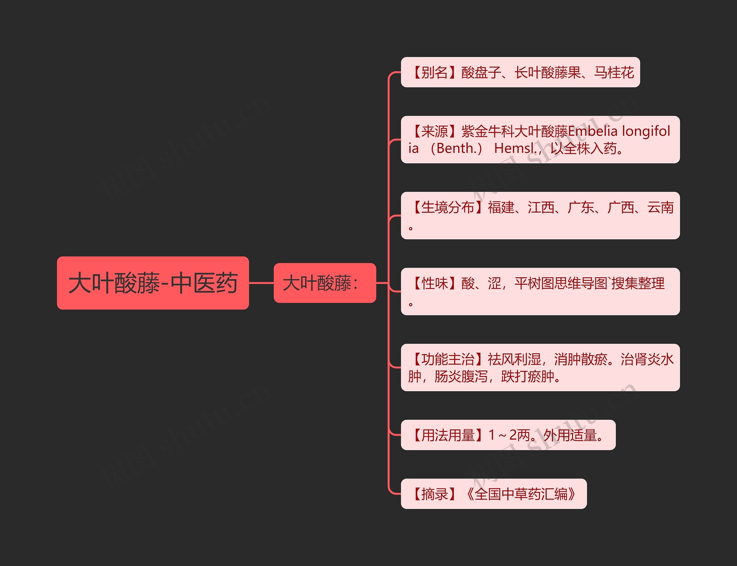 大叶酸藤-中医药 大叶酸藤-中医药