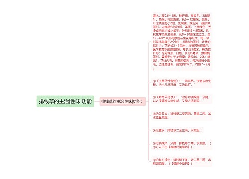 排钱草的主治|性味|功能