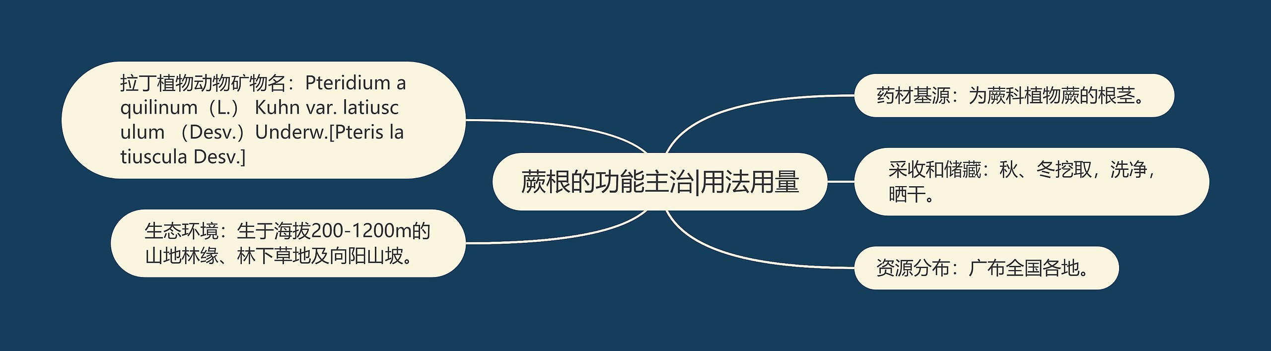 蕨根的功能主治|用法用量 蕨根的功能主治|用法用量
