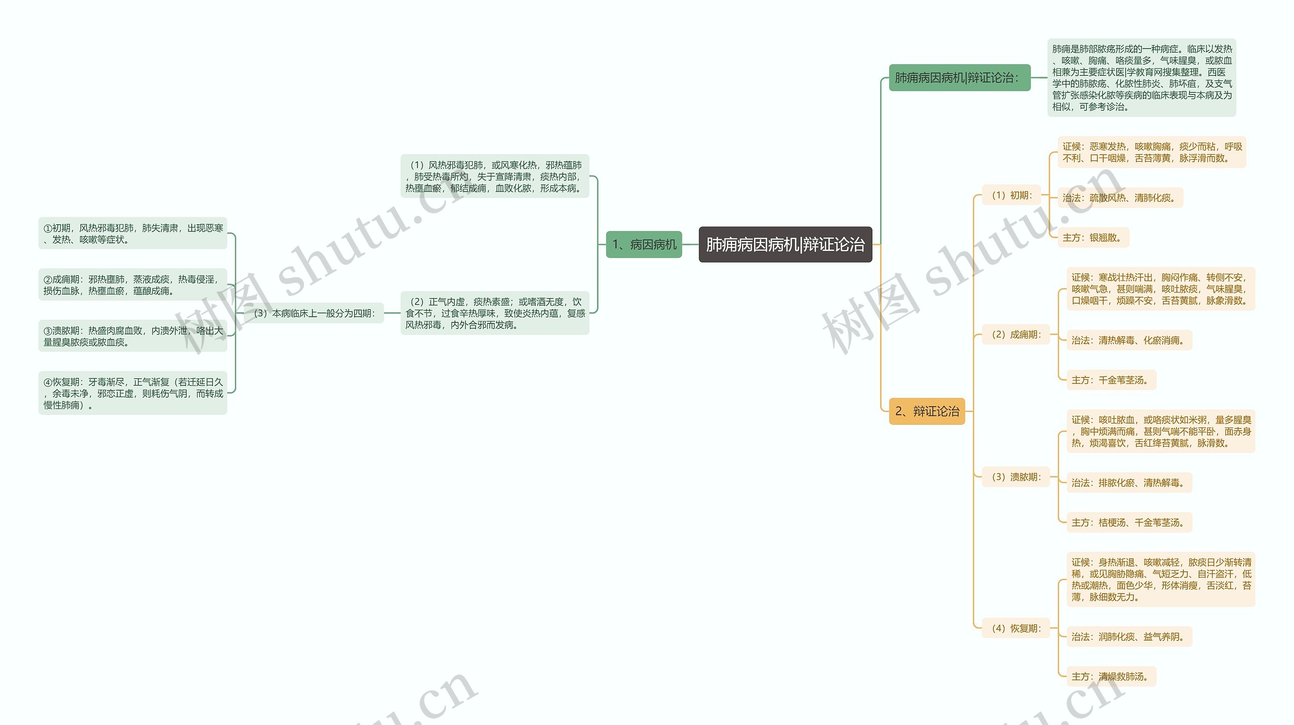 肺痈病因病机|辩证论治思维导图