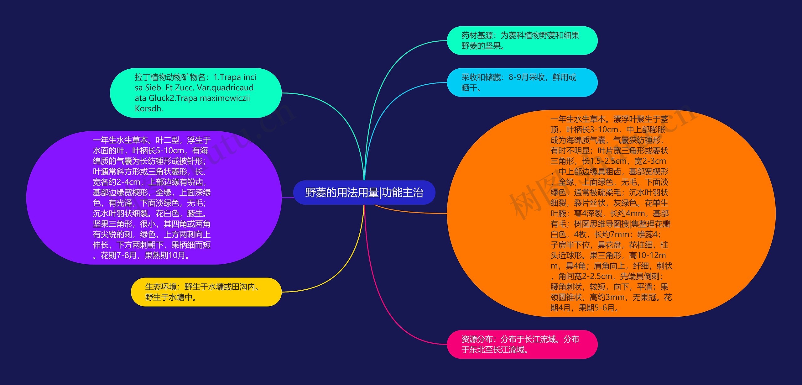 野菱的用法用量|功能主治思维导图