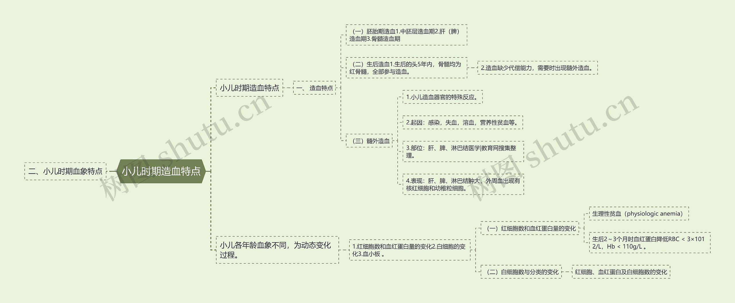 小儿时期造血特点