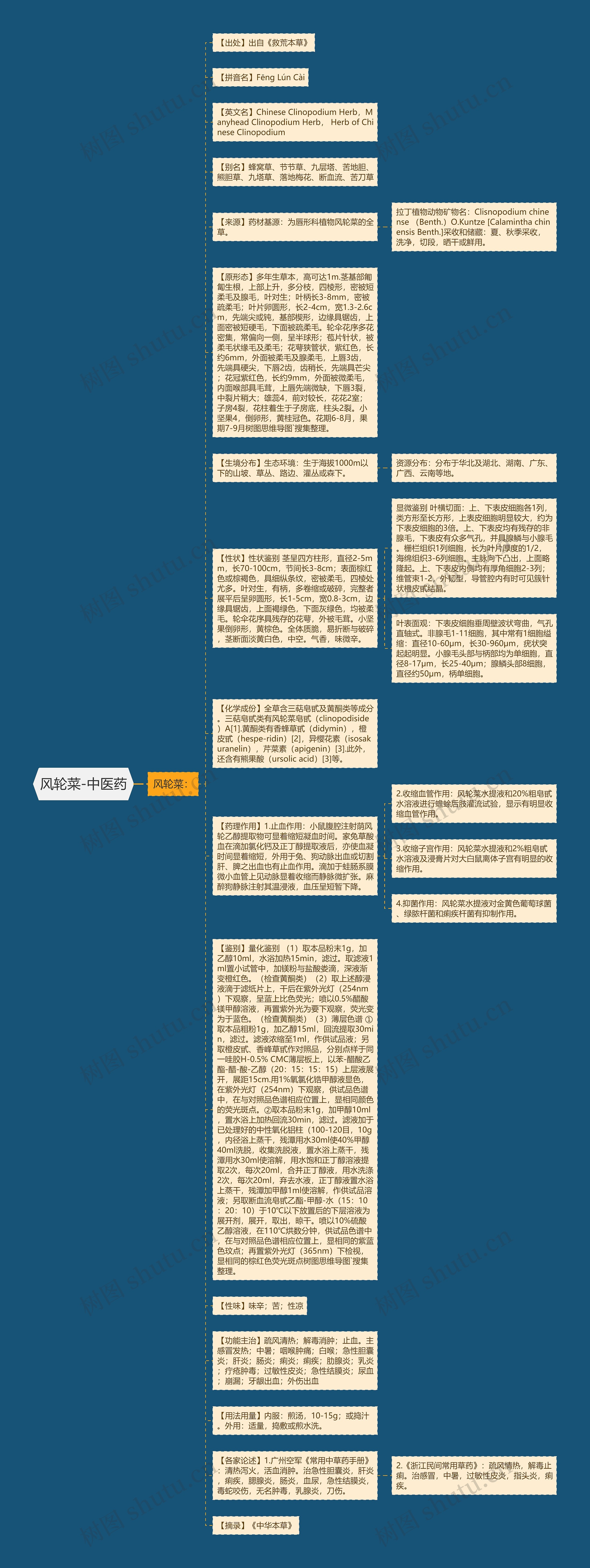风轮菜-中医药思维导图