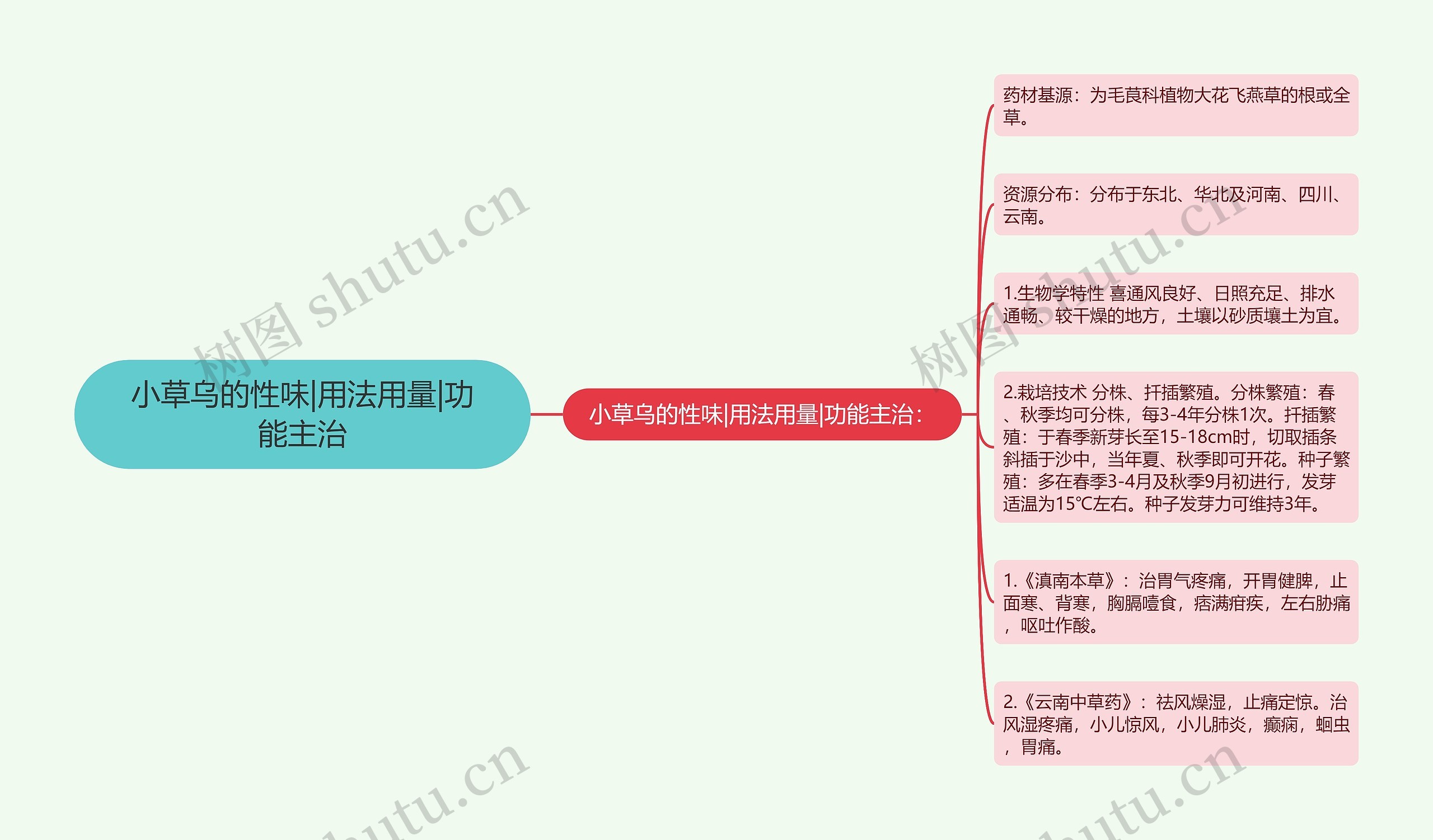 小草乌的性味|用法用量|功能主治