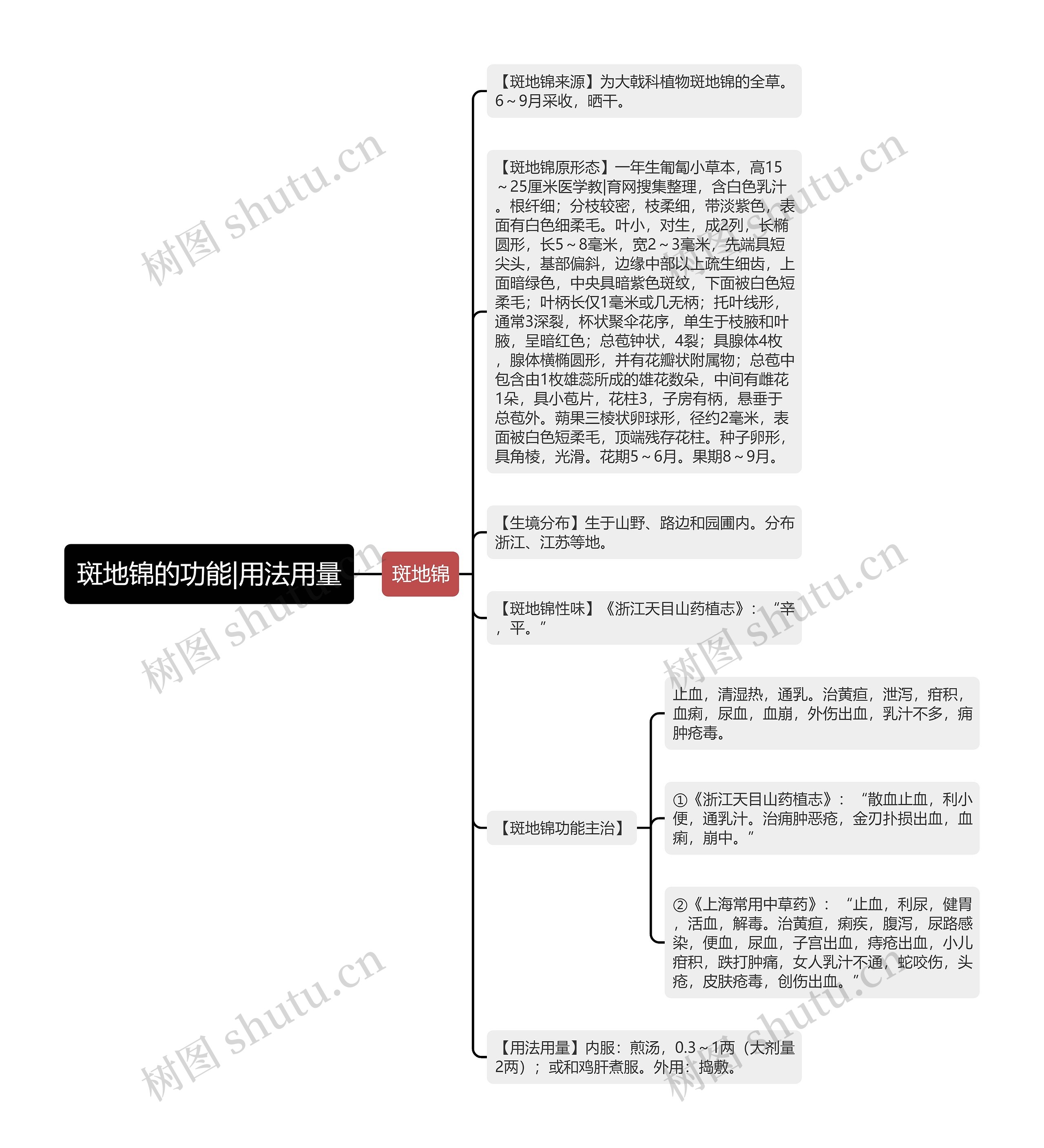 斑地锦的功能|用法用量思维导图