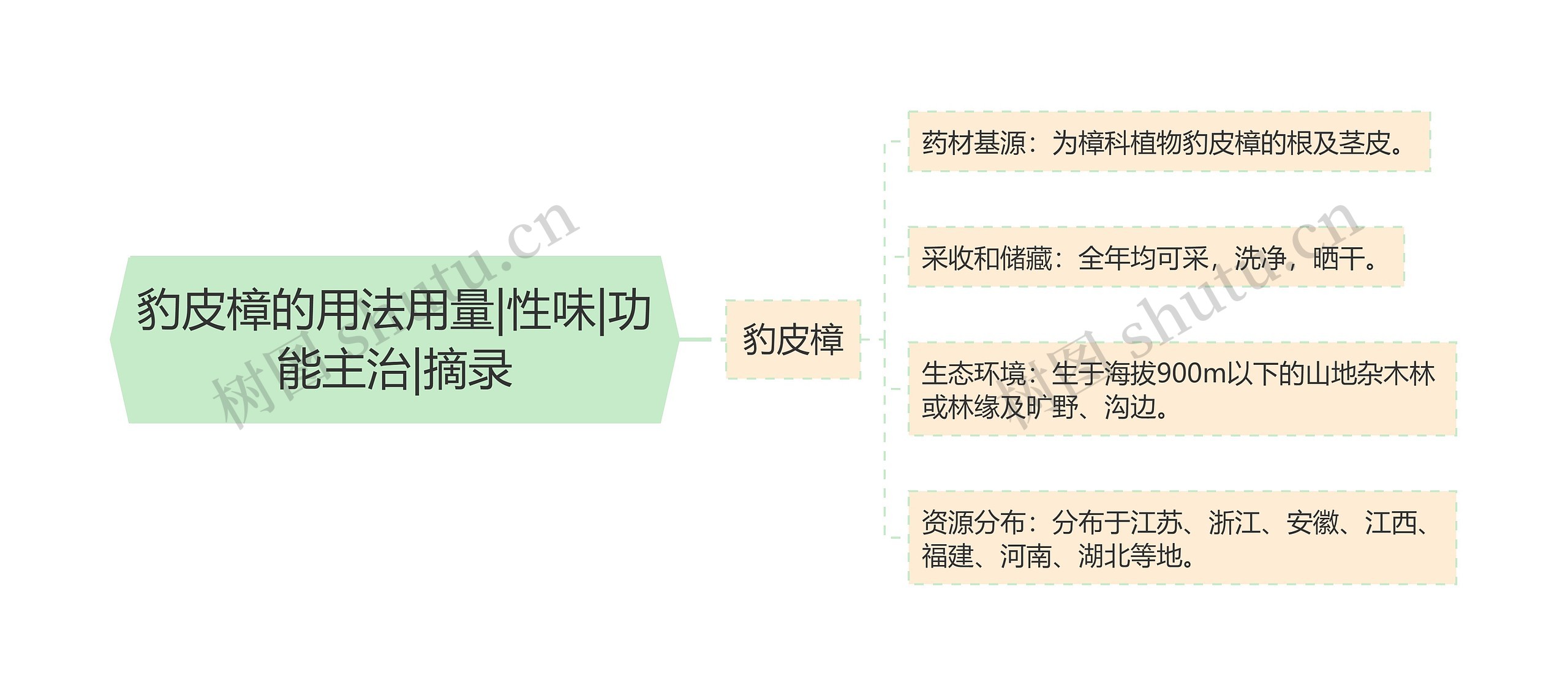 豹皮樟的用法用量|性味|功能主治|摘录思维导图