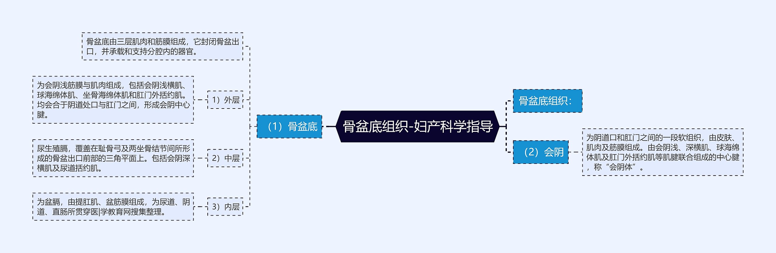 骨盆底组织-妇产科学指导 骨盆底组织-妇产科学指导
