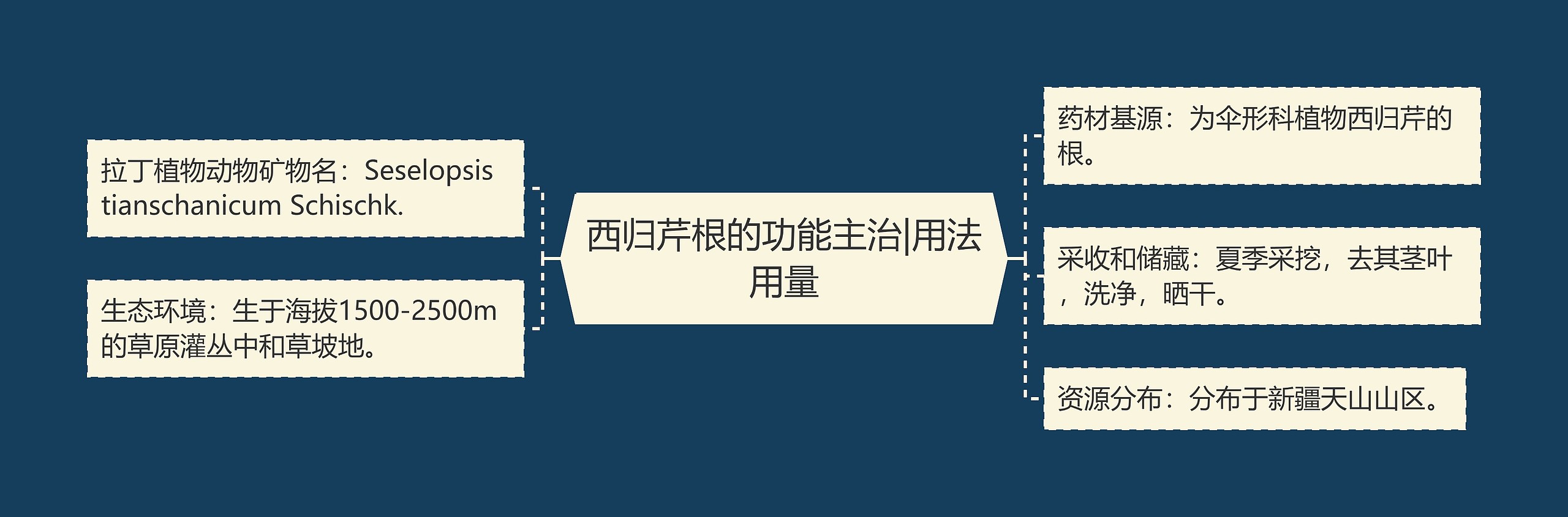 西归芹根的功能主治|用法用量 西归芹根的功能主治|用法用量