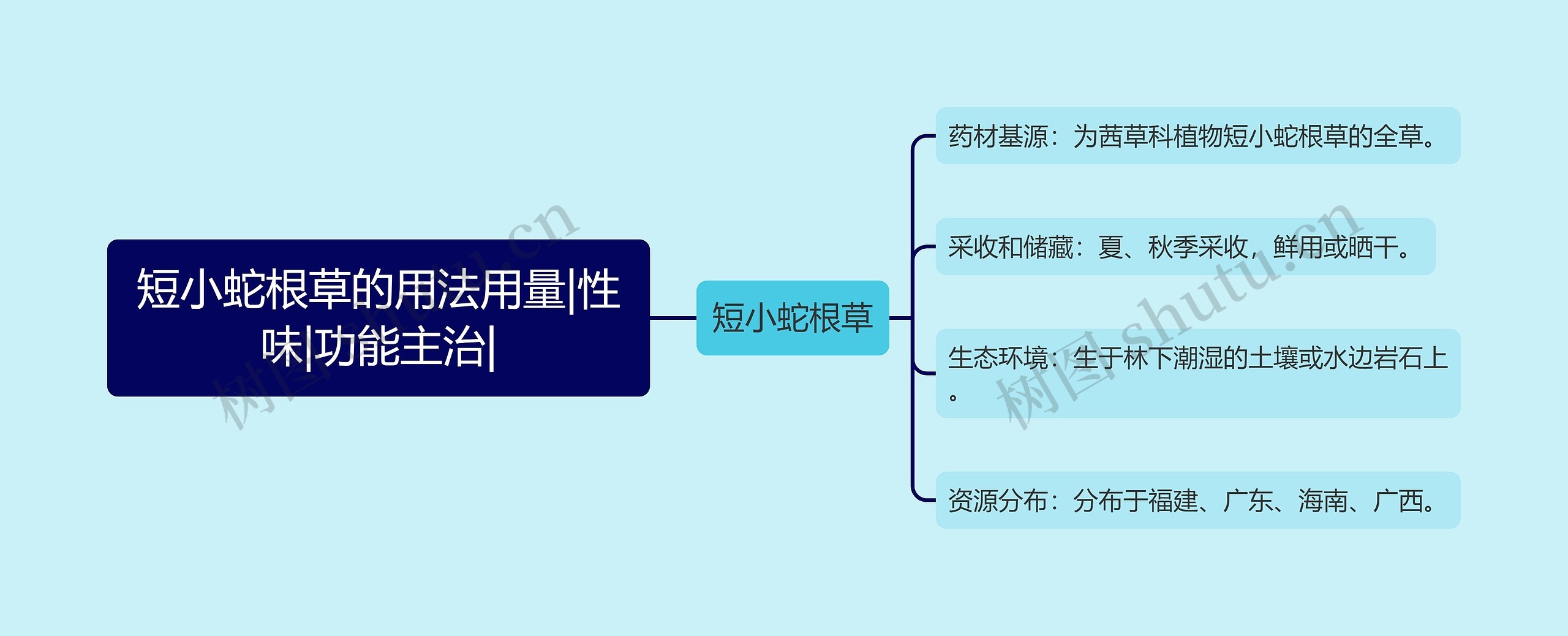 短小蛇根草的用法用量|性味|功能主治|思维导图