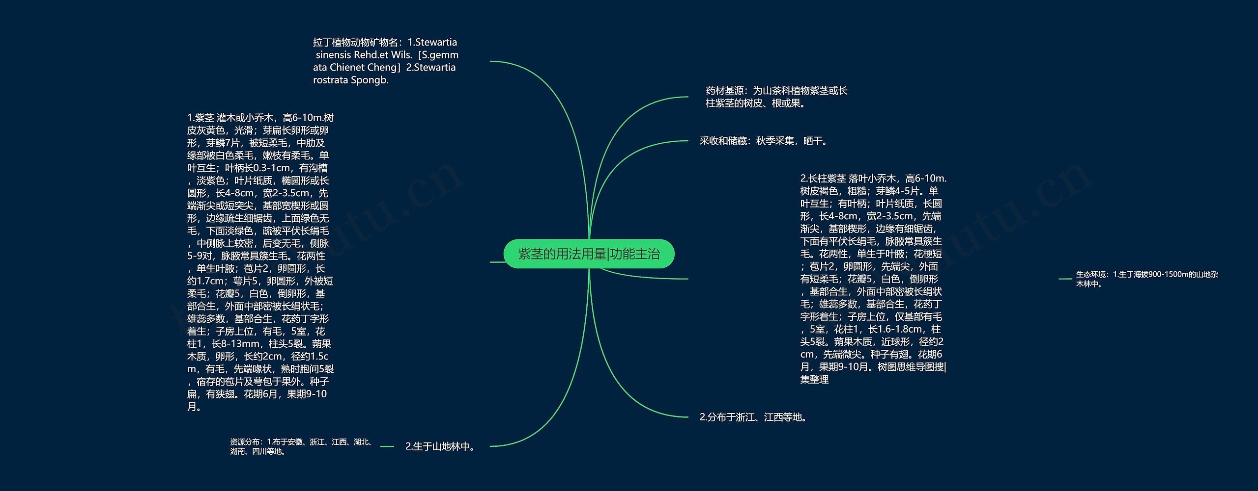 紫茎的用法用量|功能主治思维导图