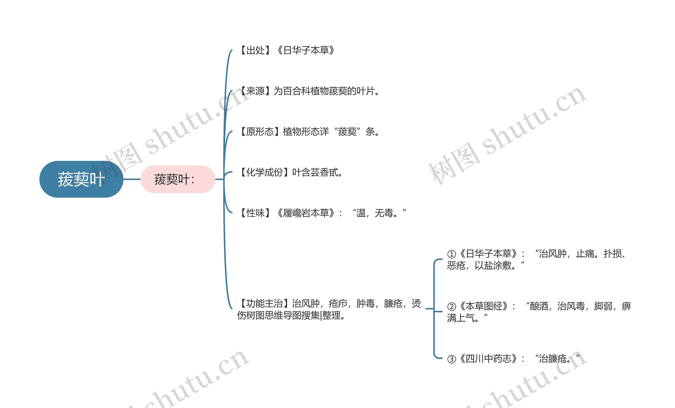 菝葜叶思维导图