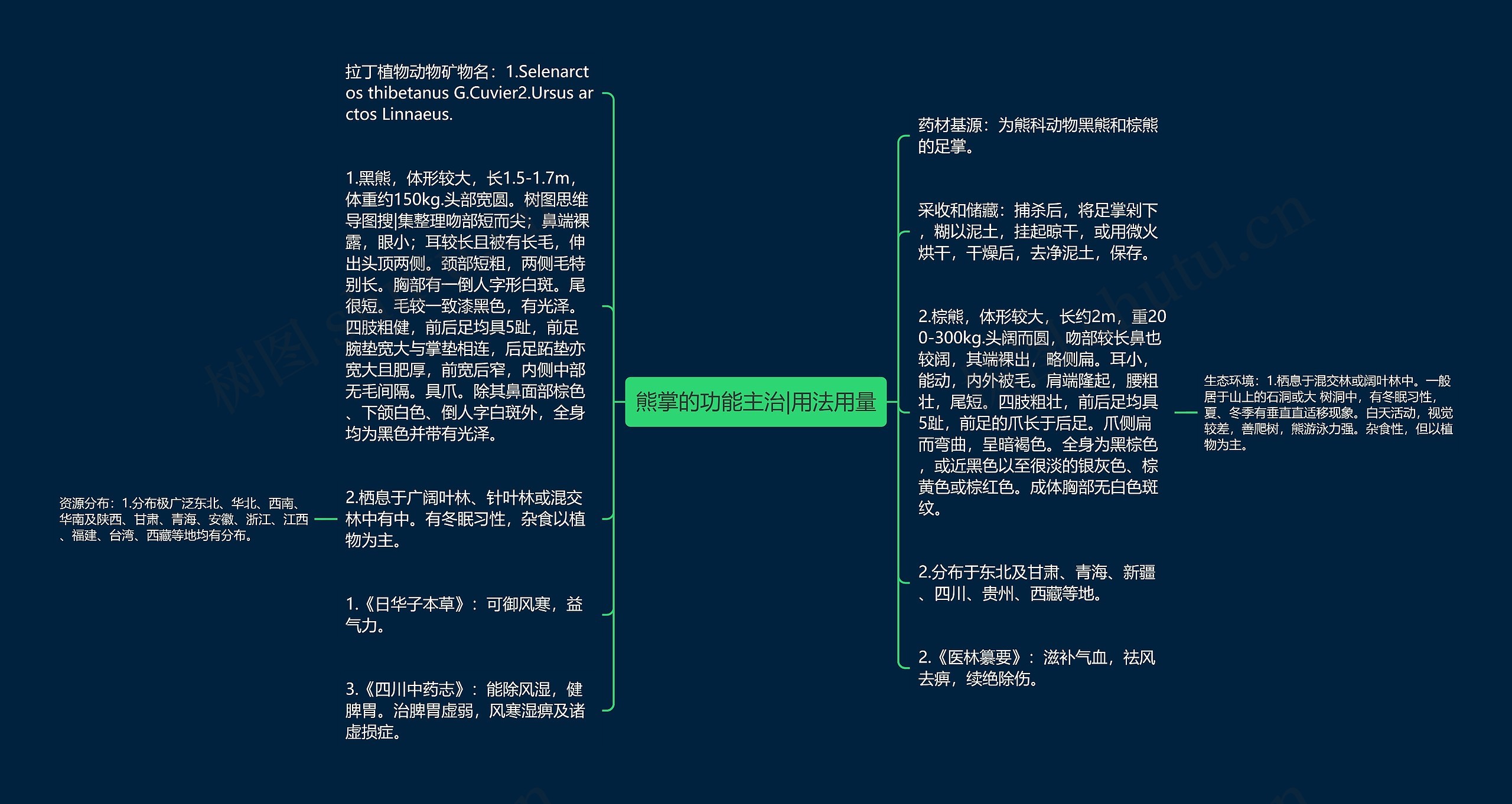 熊掌的功能主治|用法用量