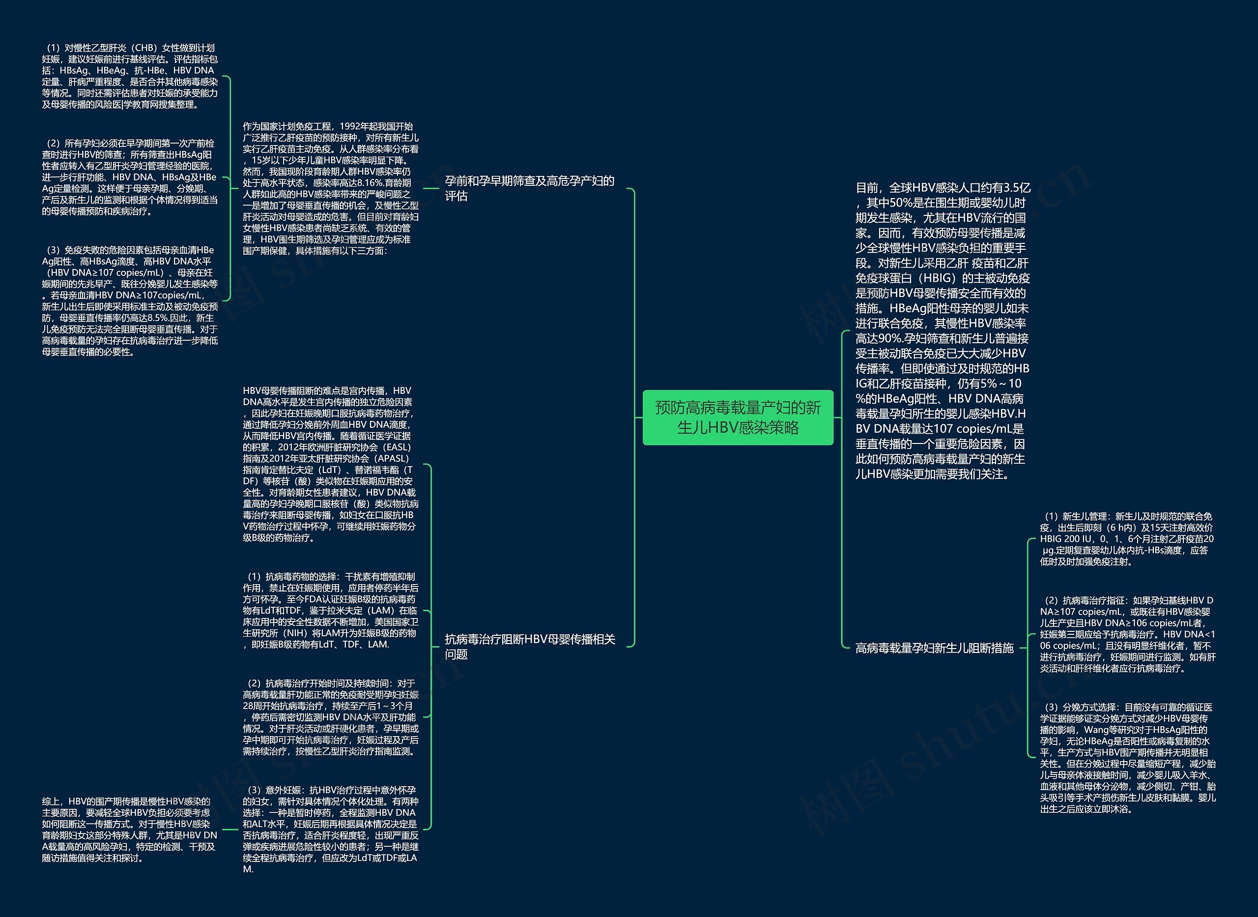 预防高病毒载量产妇的新生儿HBV感染策略思维导图