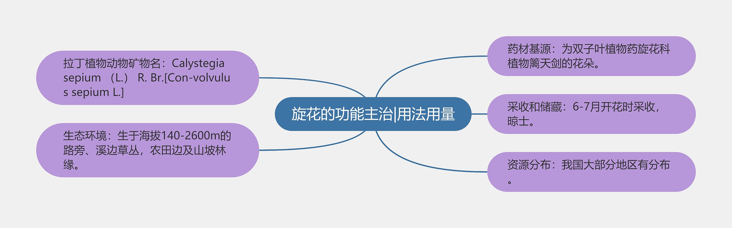 旋花的功能主治|用法用量思维导图