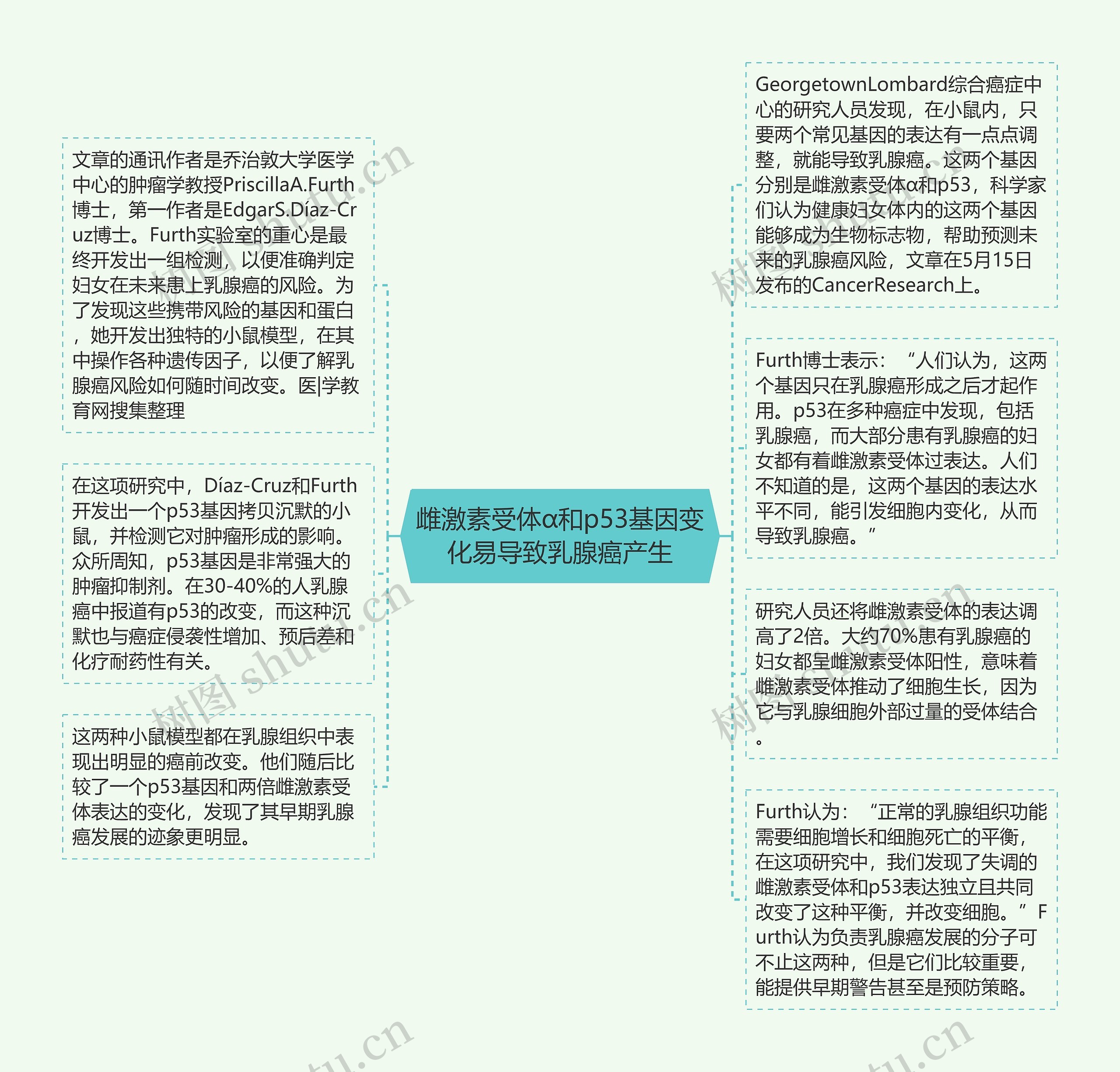 雌激素受体α和p53基因变化易导致乳腺癌产生