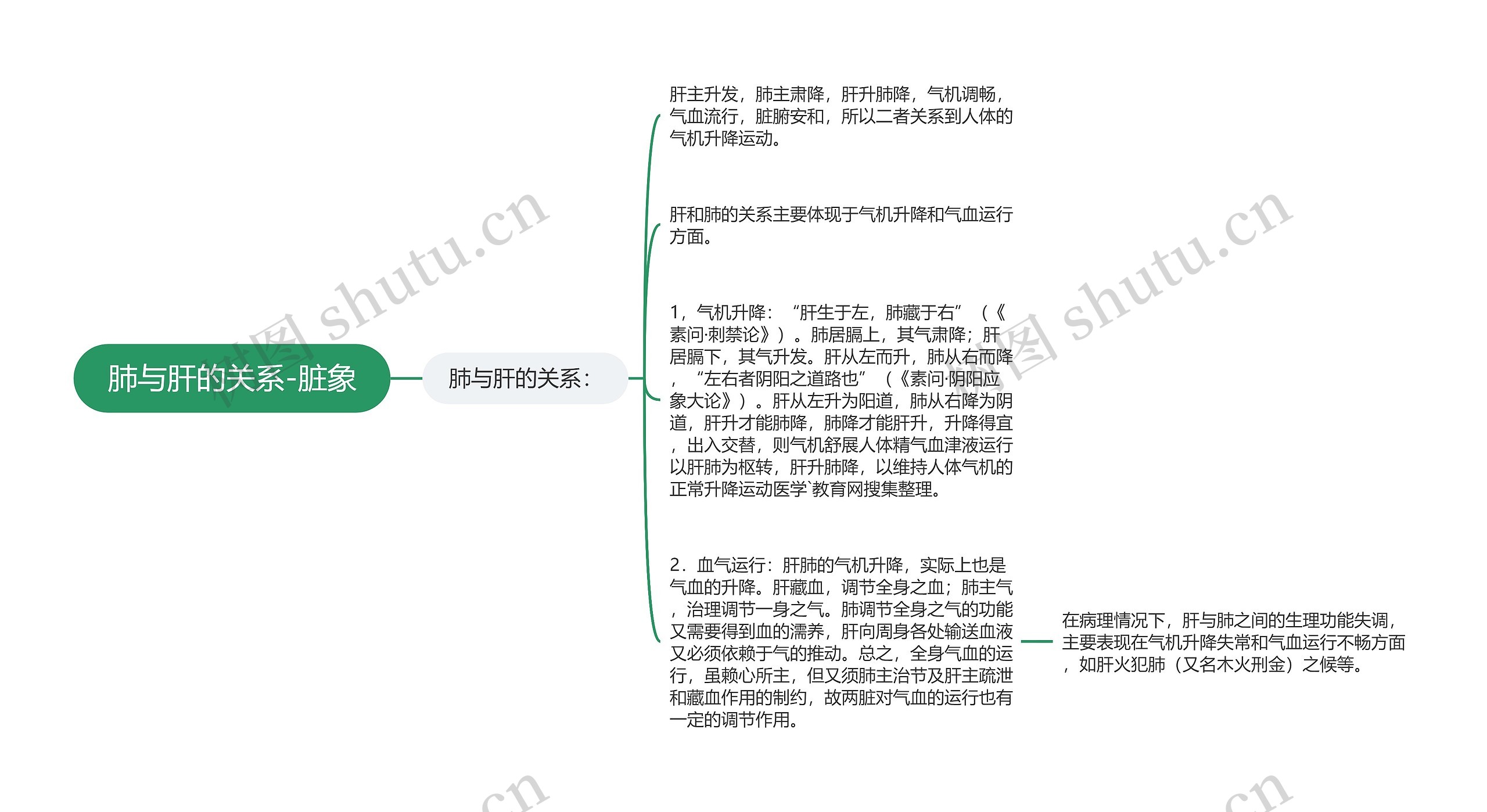 肺与肝的关系-脏象