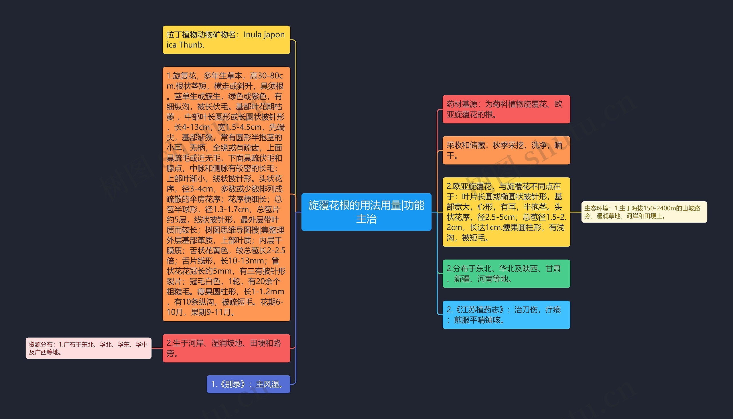 旋覆花根的用法用量|功能主治 旋覆花根的用法用量|功能主治